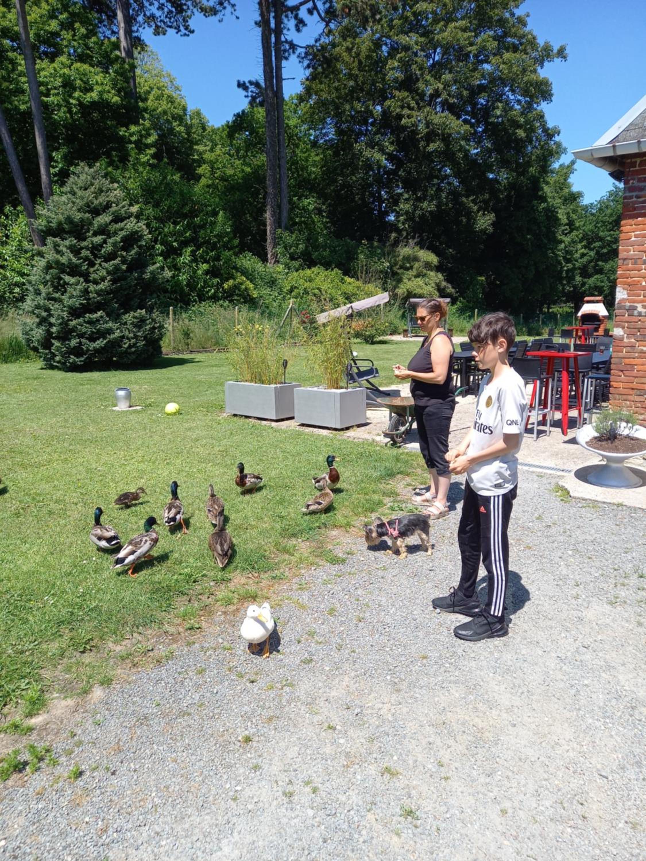 Photo 32