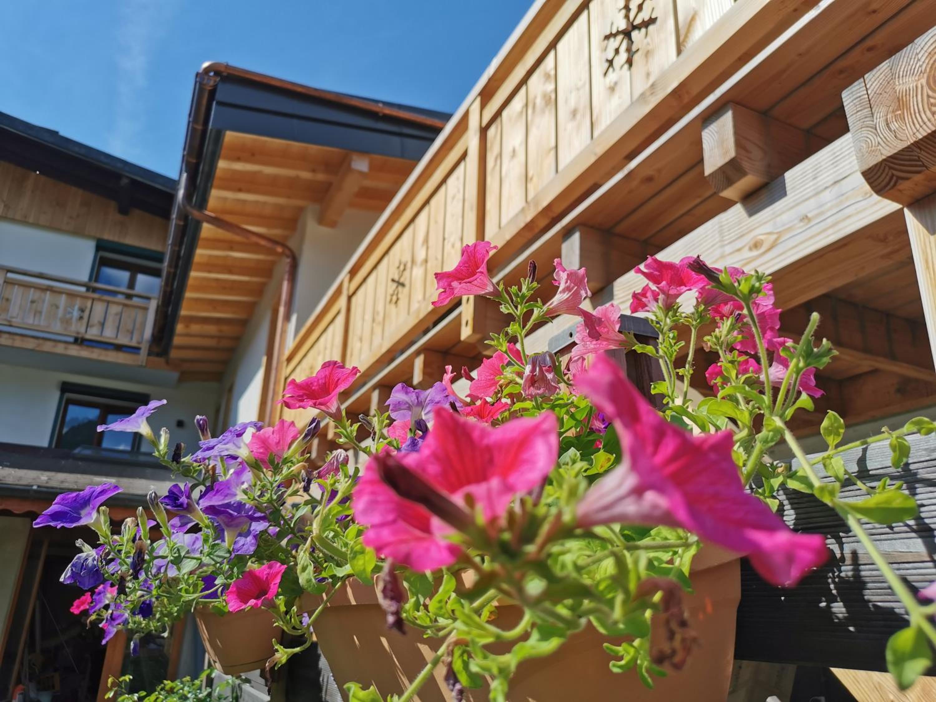 Julianna , appartements avec services gratuits