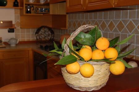 Photo 27