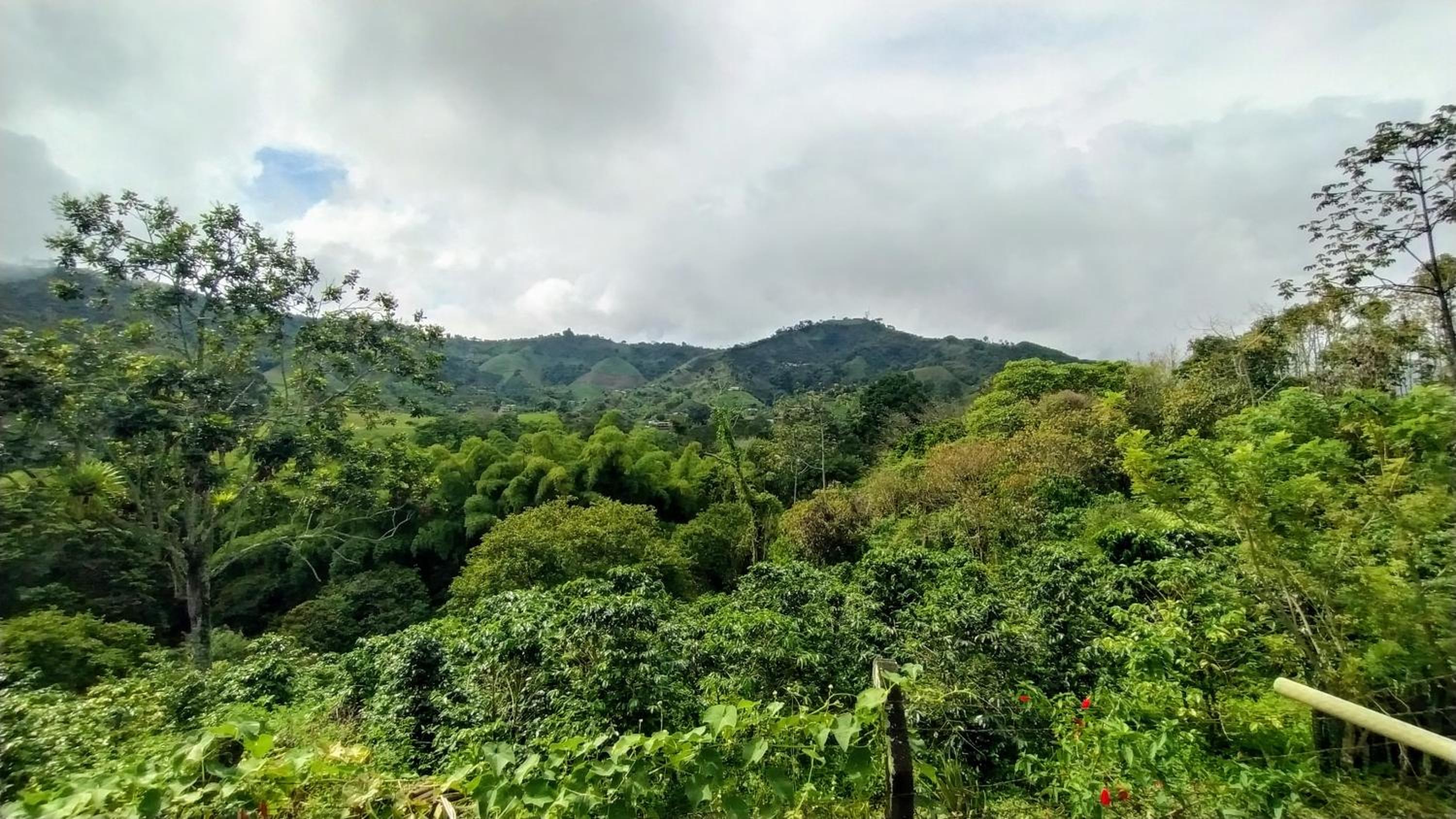 La Acuarela, Posada de La Monita
