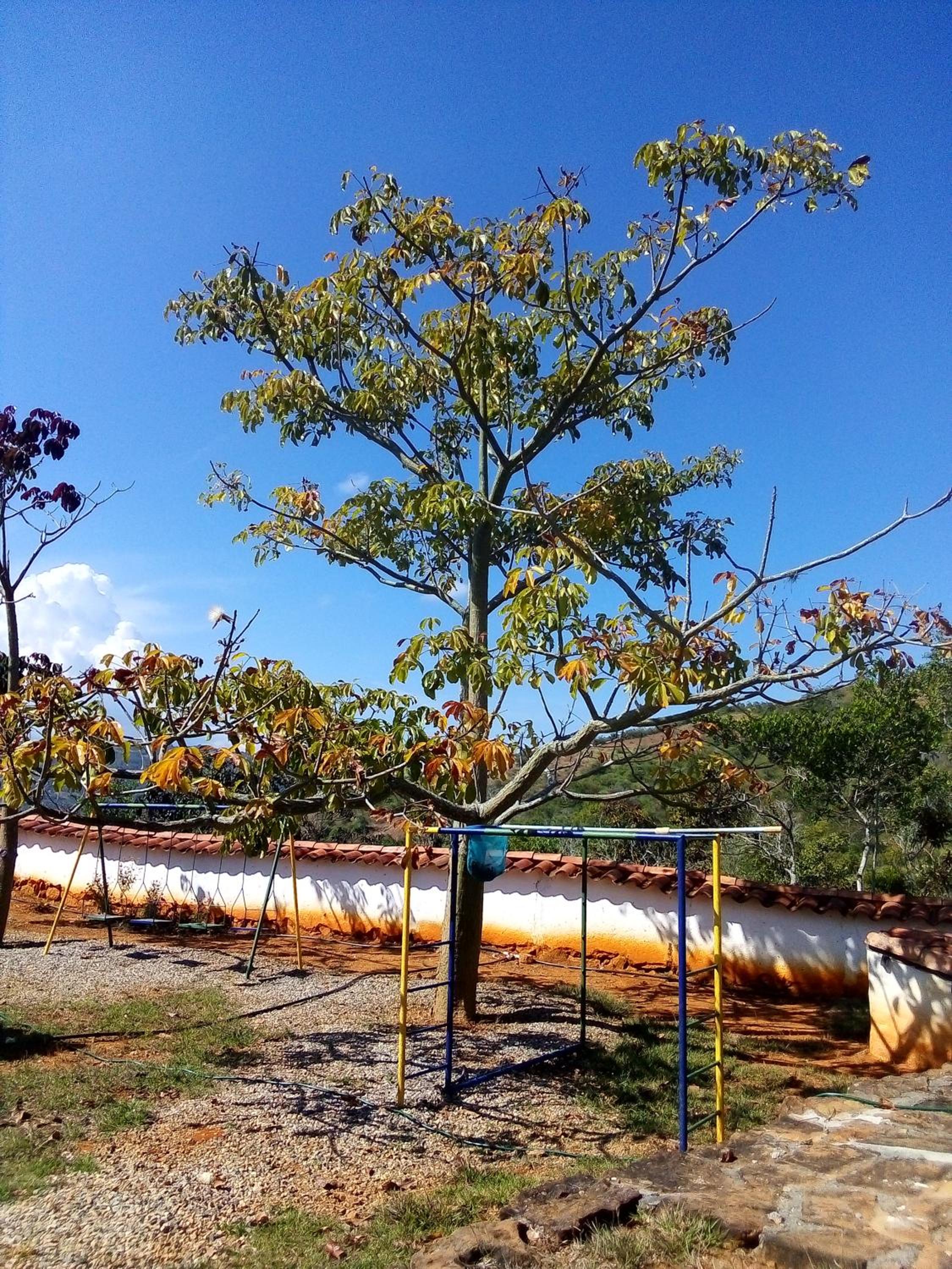 Finca Casa Loma Barichara