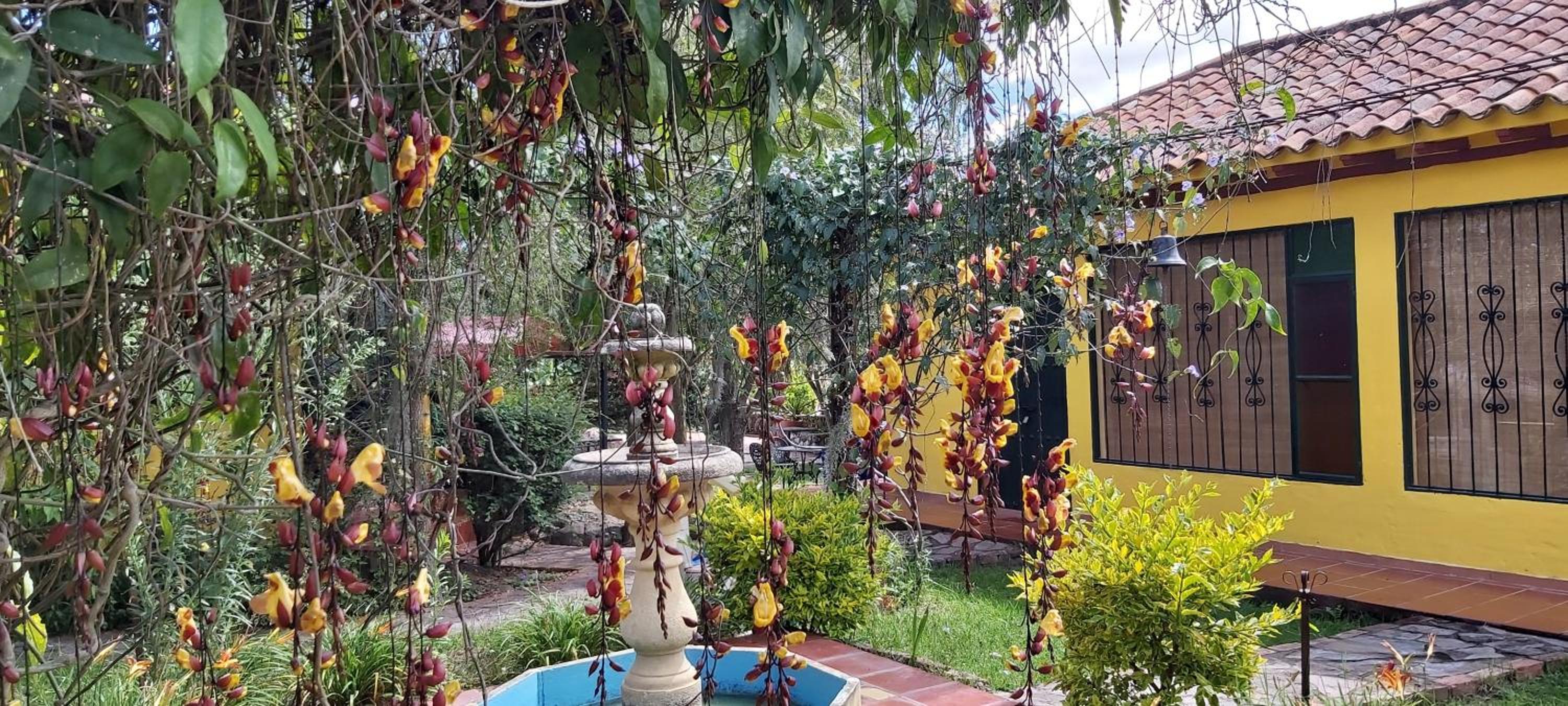 Casa Realidad y Ensueño