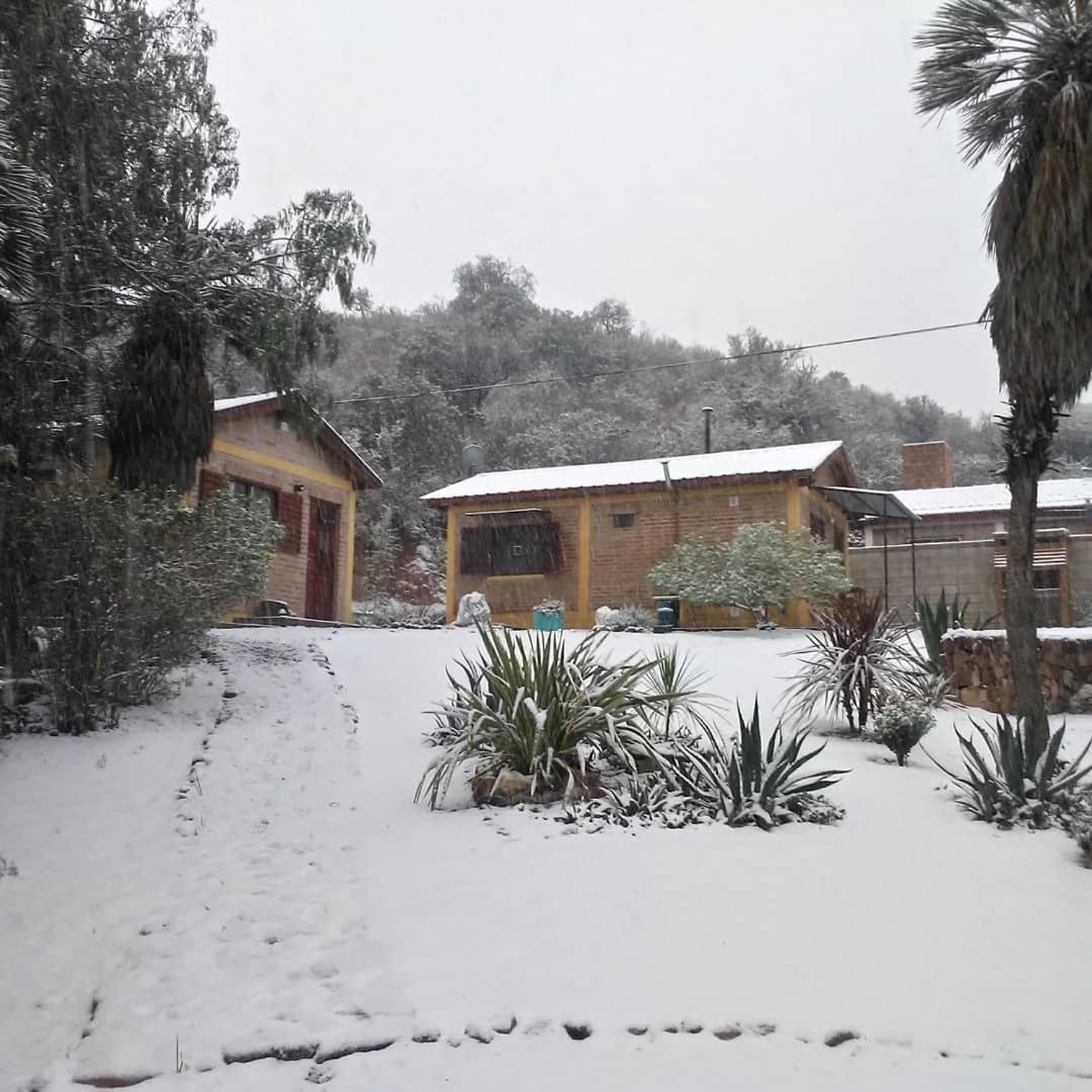 Palmares al cerro