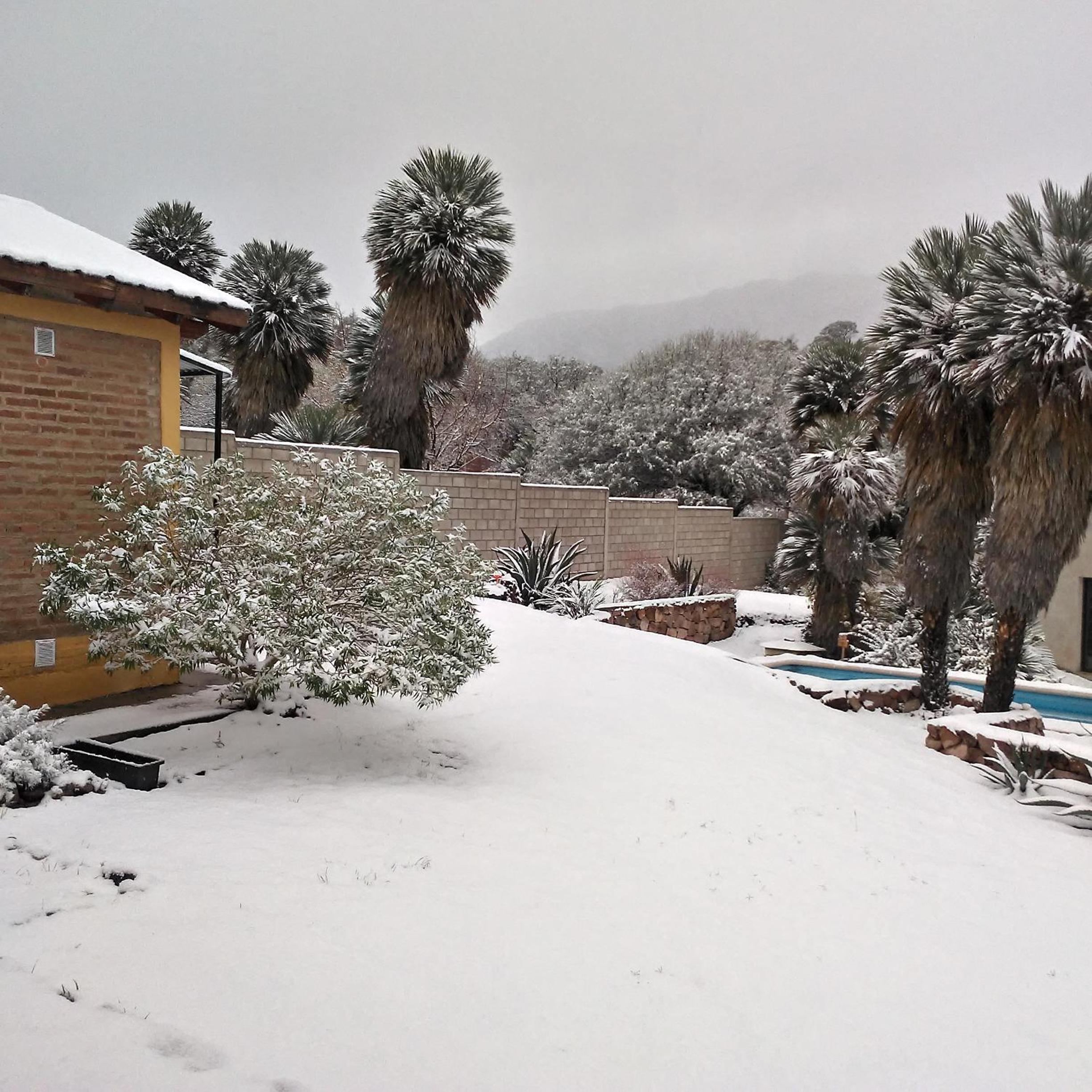 Palmares al cerro