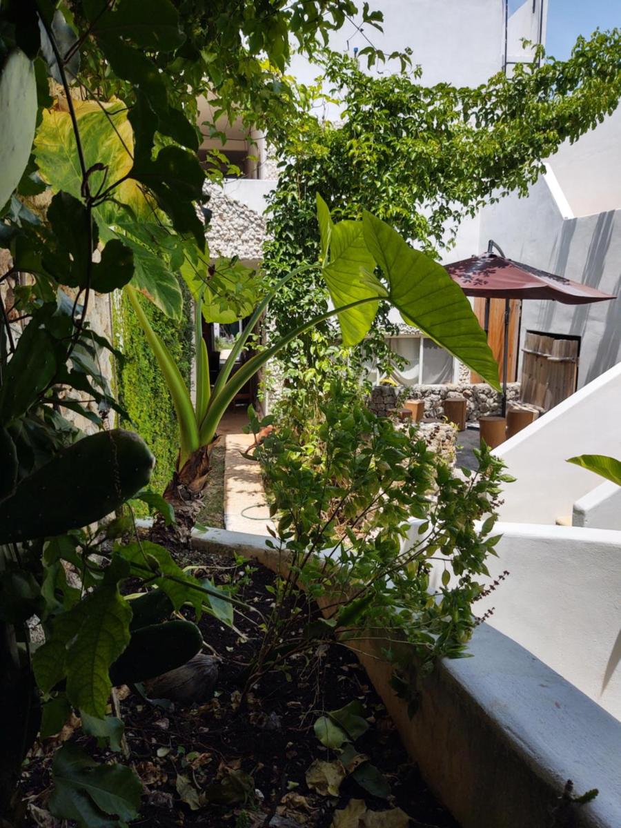 Casa Gekos Cuijas
