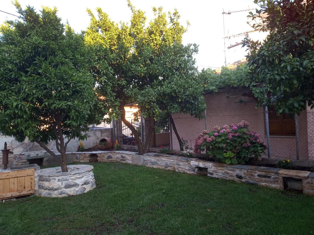 Photo 27