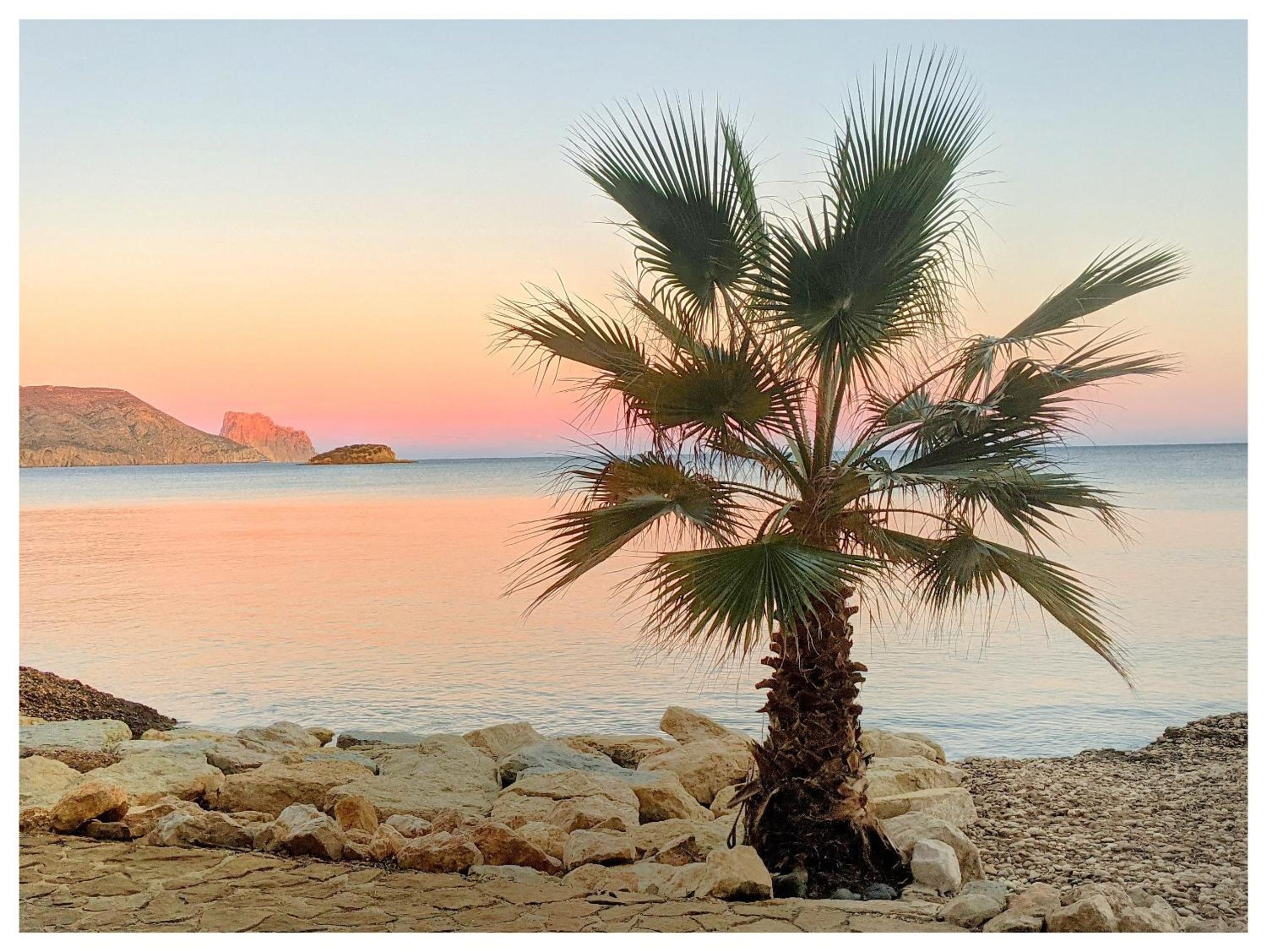 Altea Flying Whale photo 5