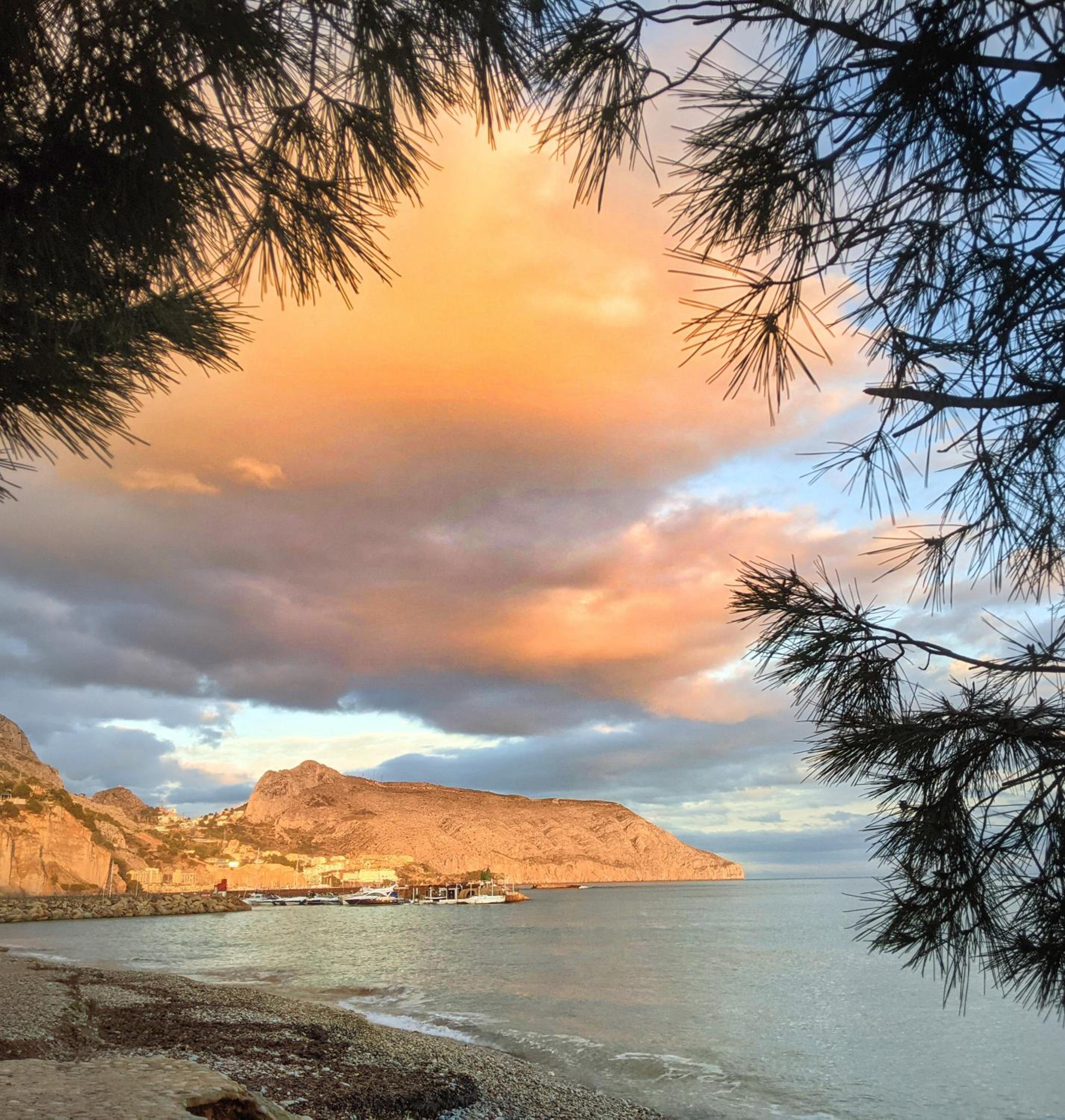 Altea Flying Whale photo 2