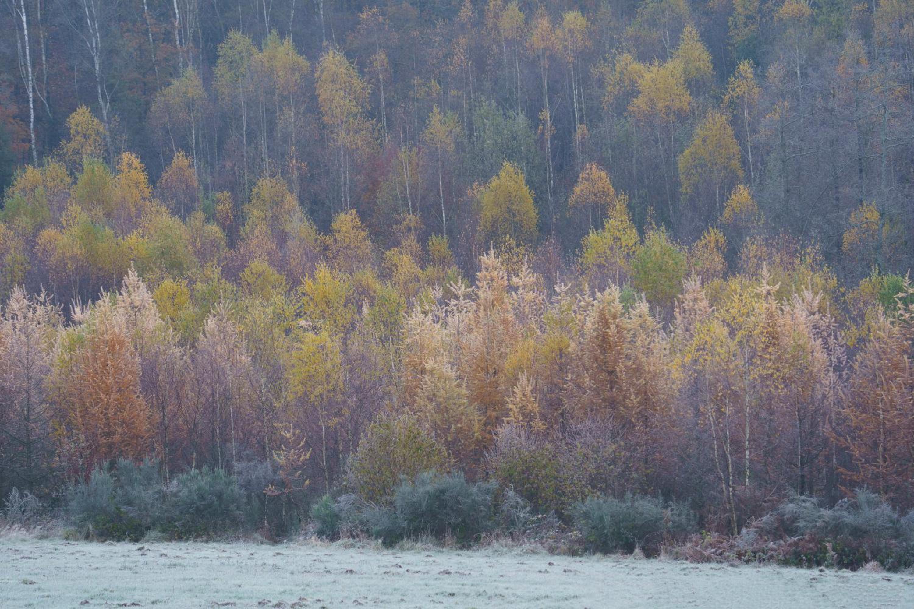 Ardenne essentielle