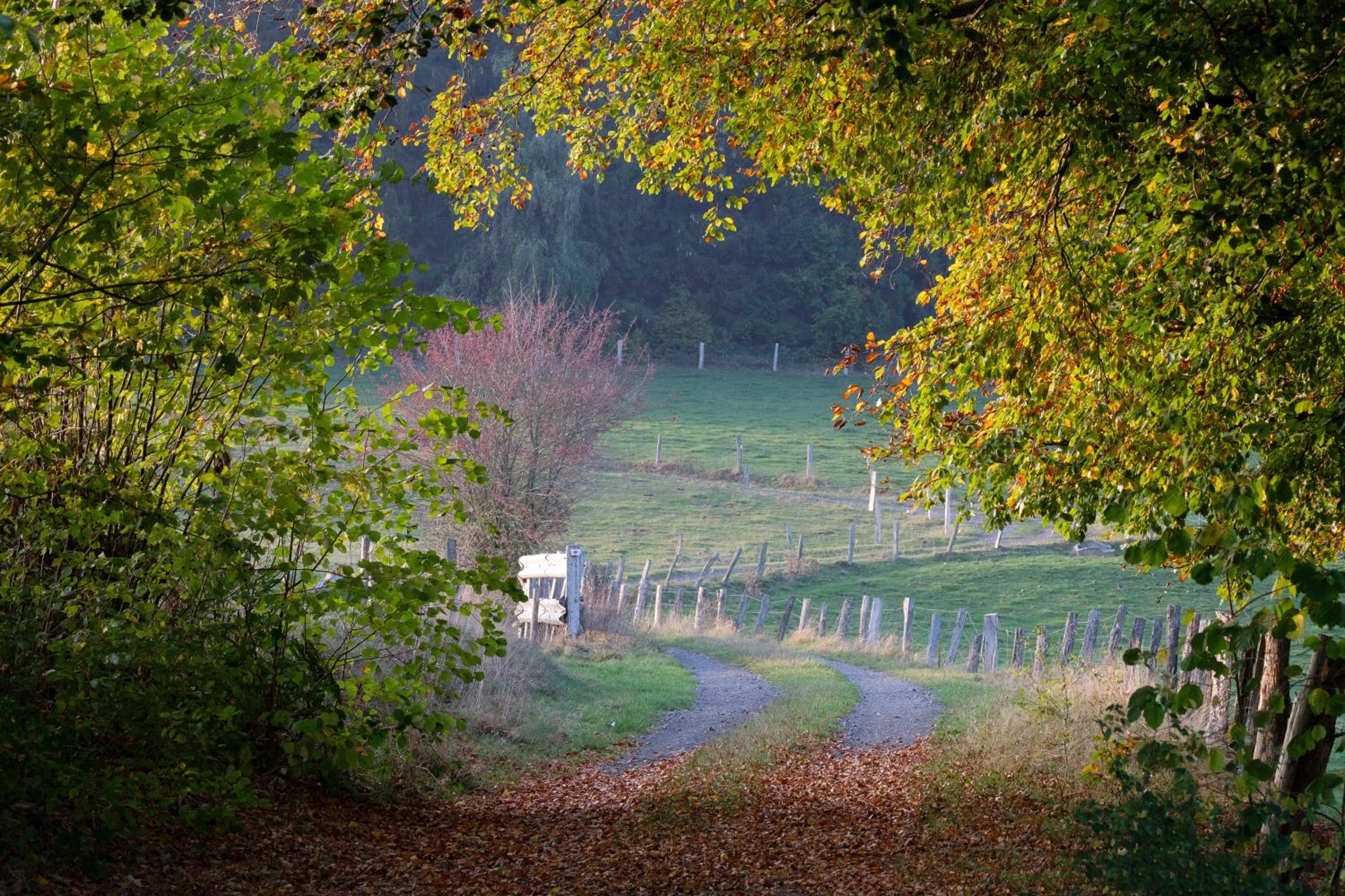 Ardenne essentielle