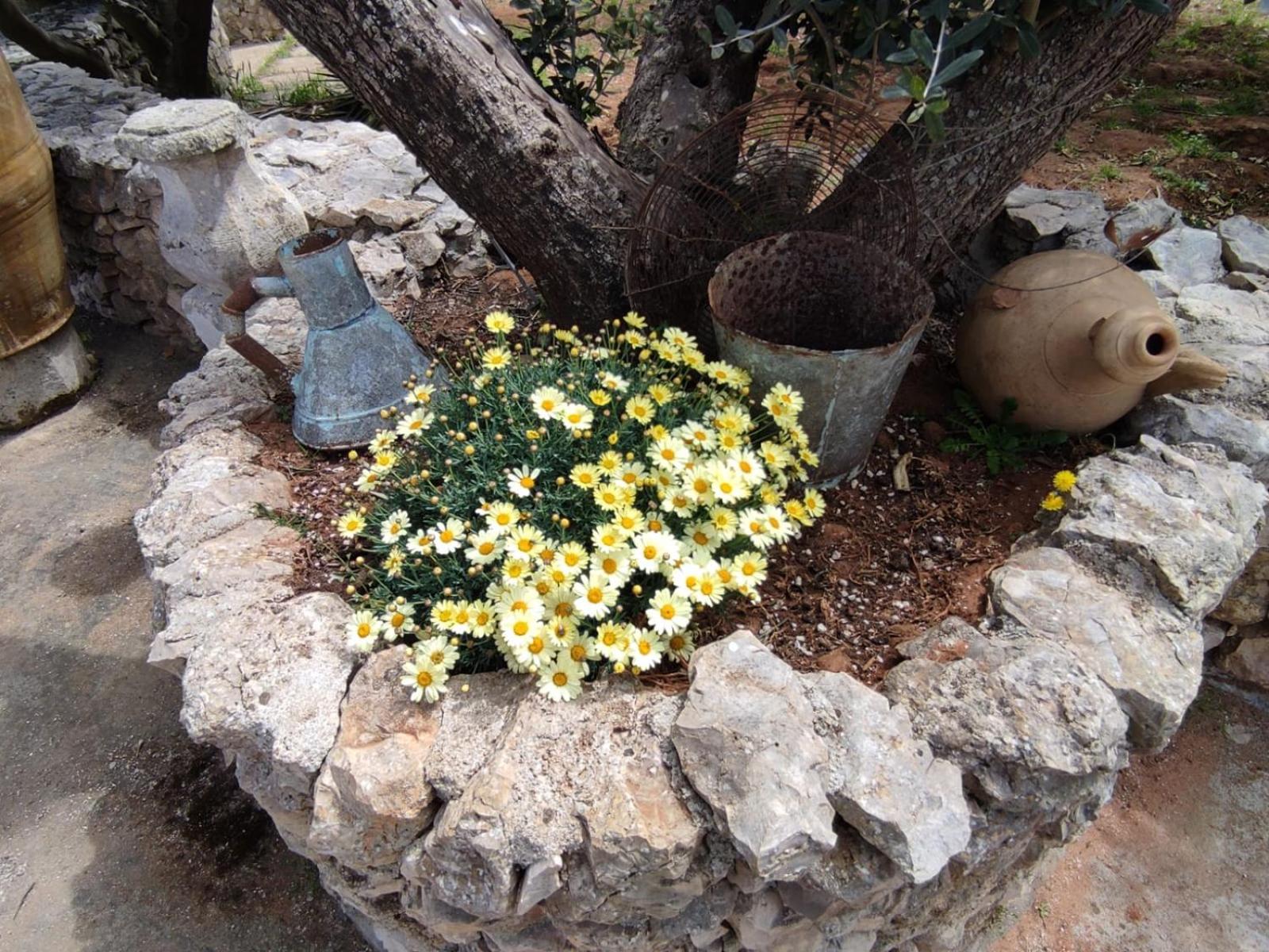 Photo 46