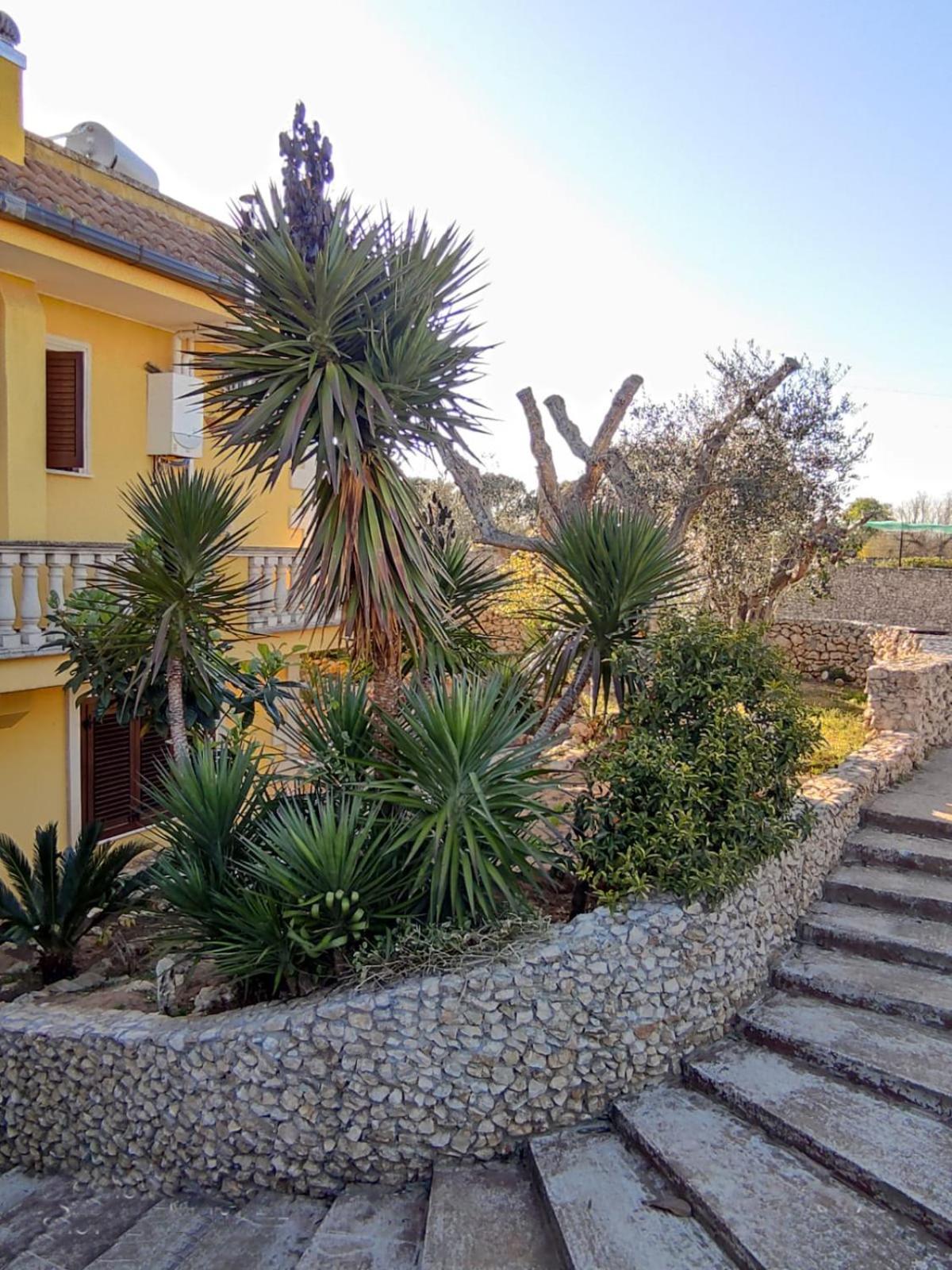 Photo 47