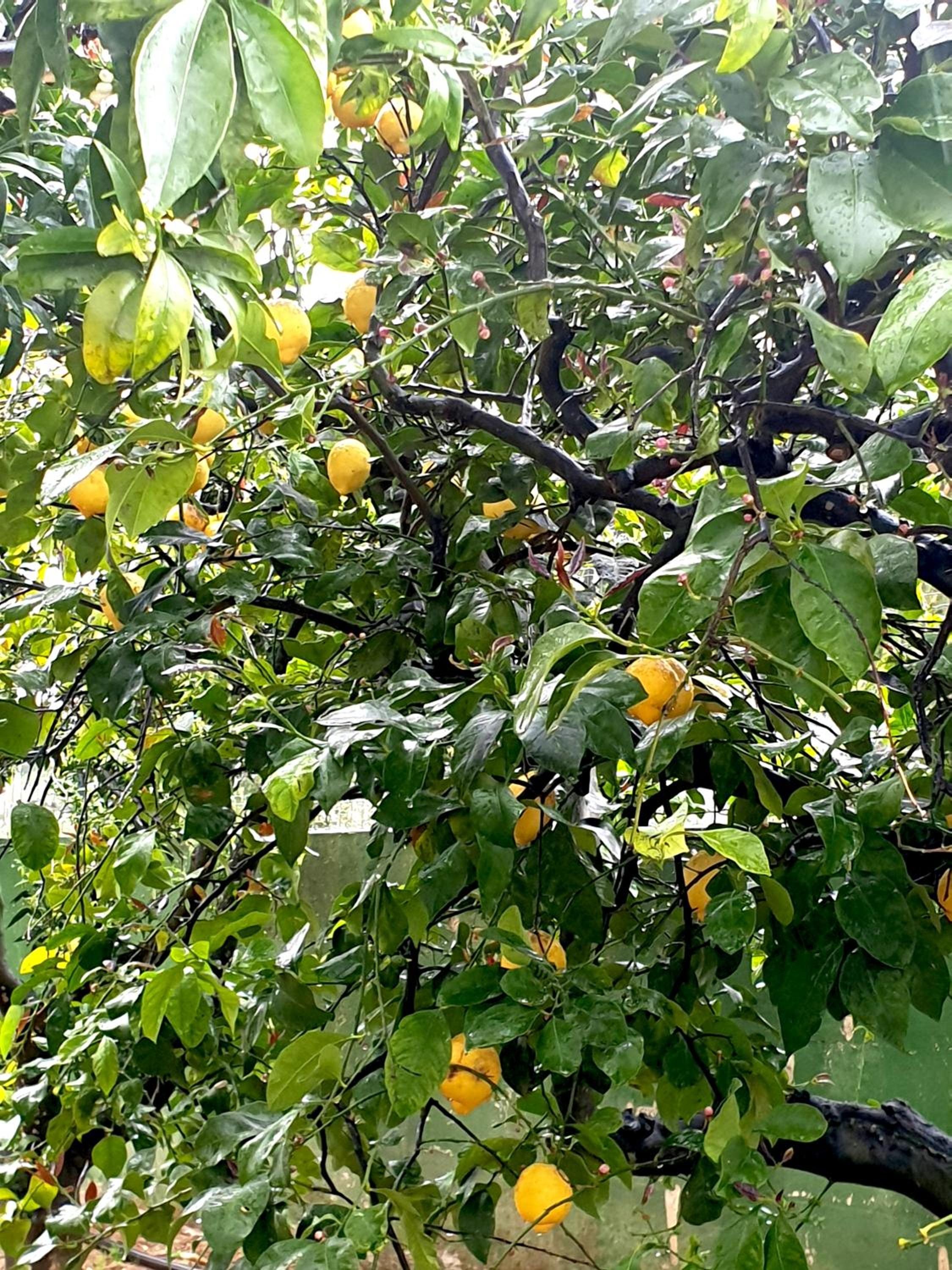 Photo 48