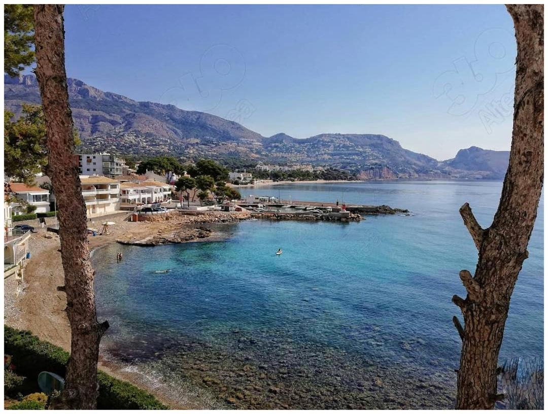 Altea Flying Whale photo 3