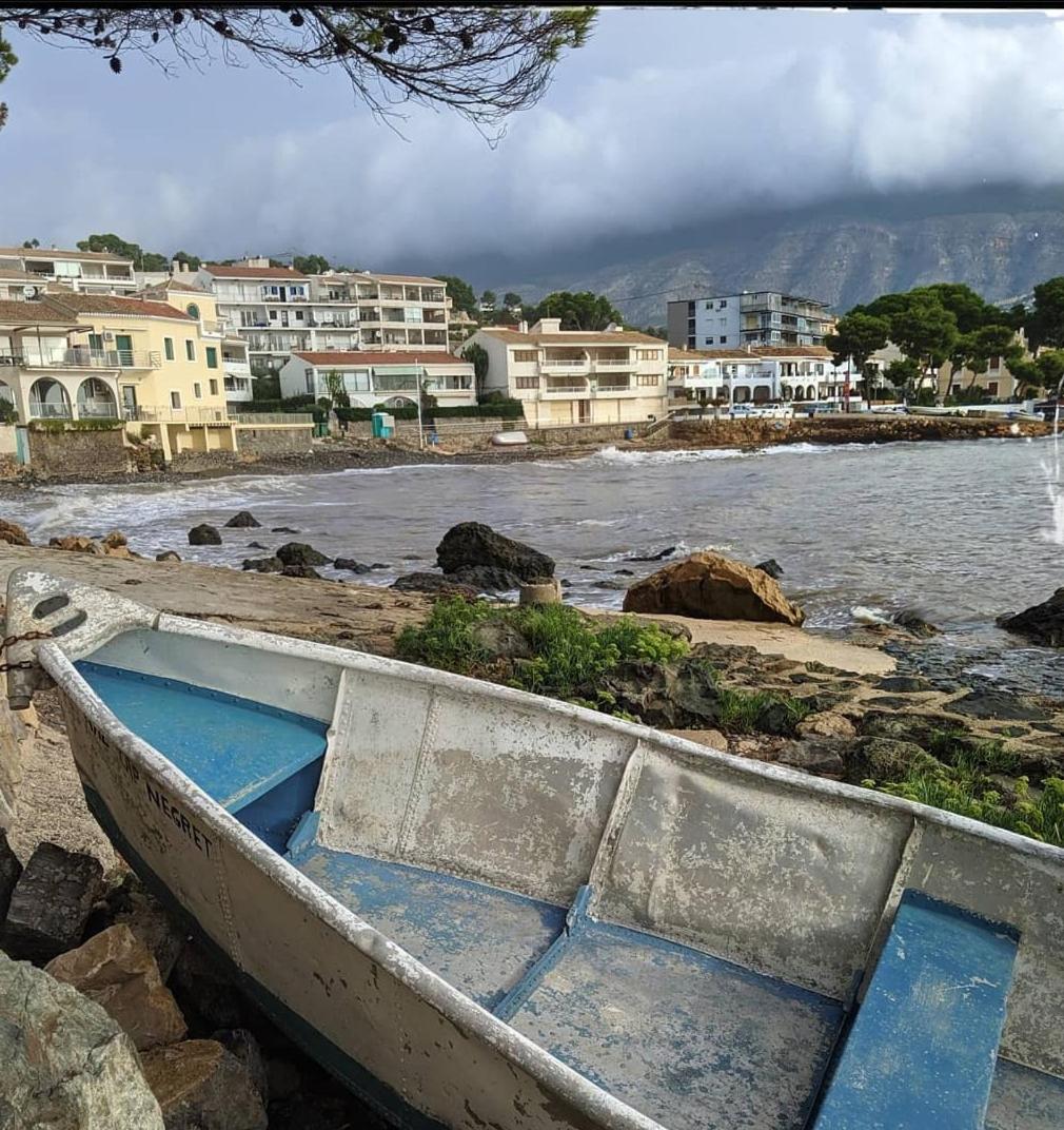Altea Flying Whale photo 4
