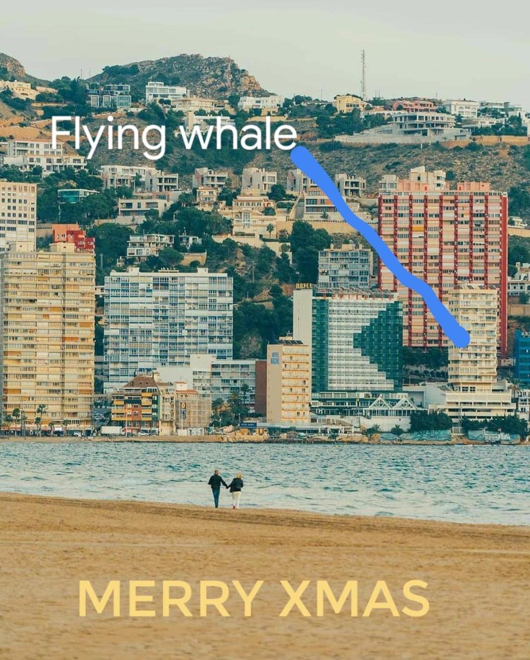 Portofino Flying Whale
