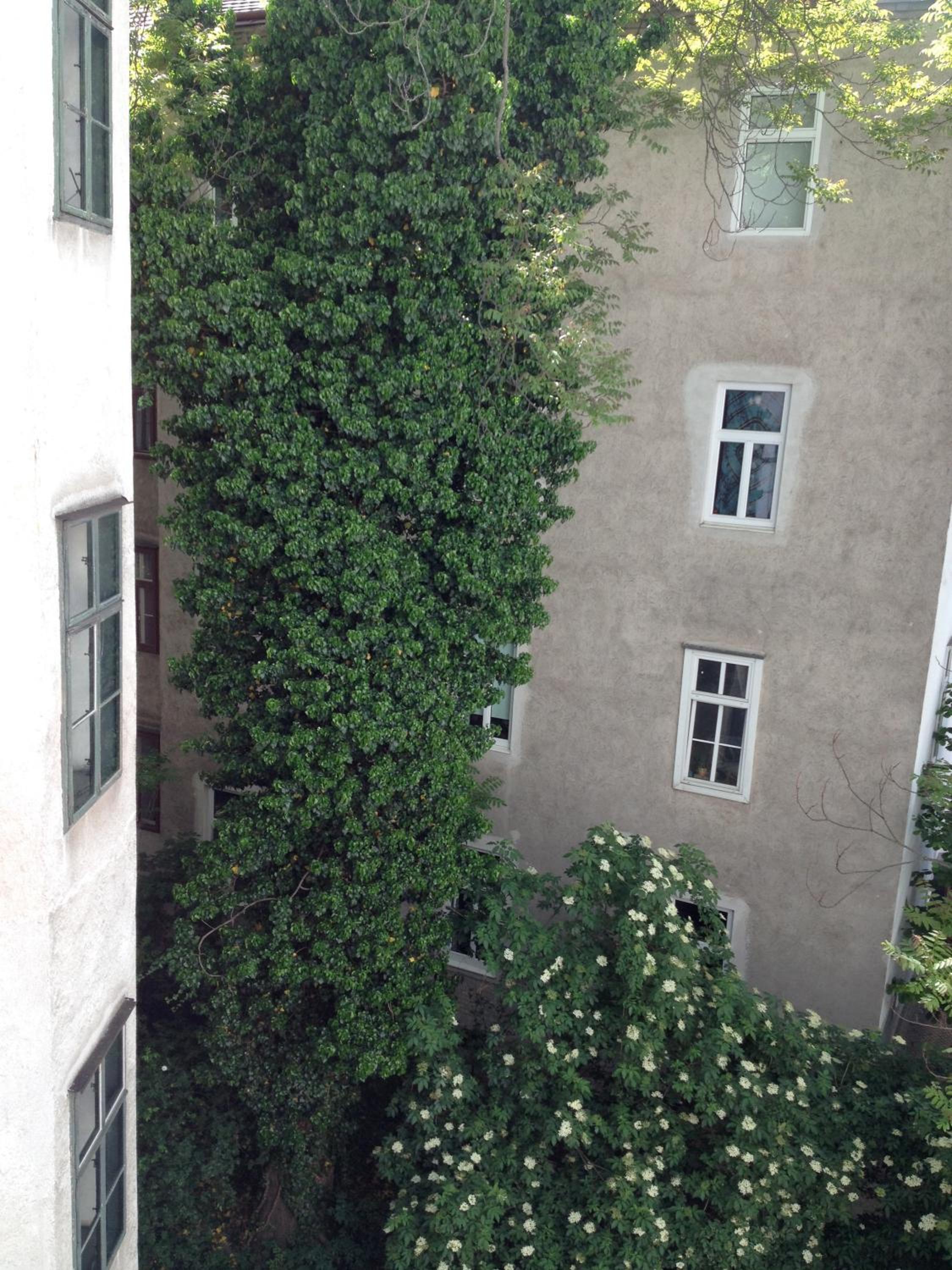 Augartenblick Penthaus 16