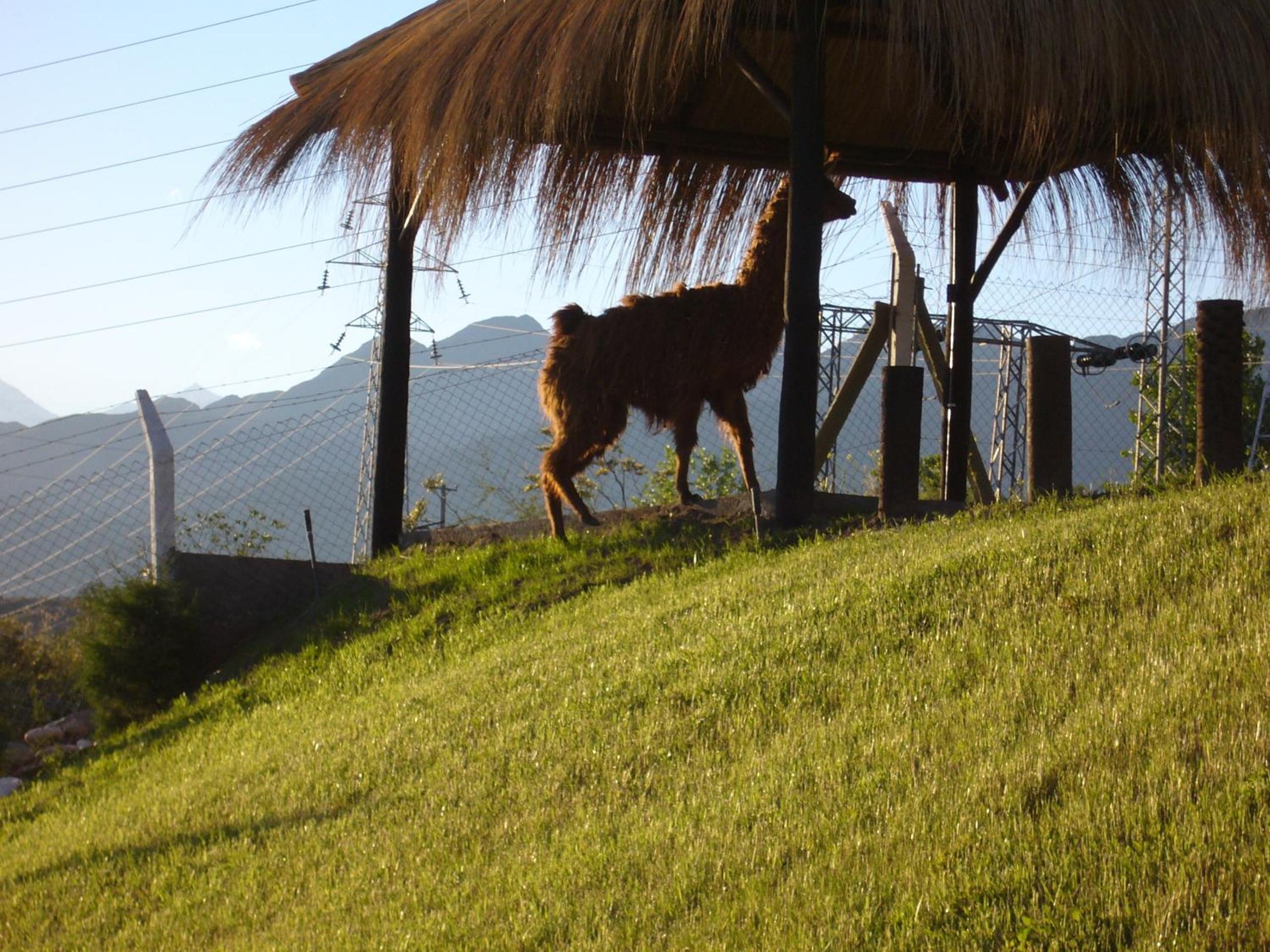 Posada Cacheuta