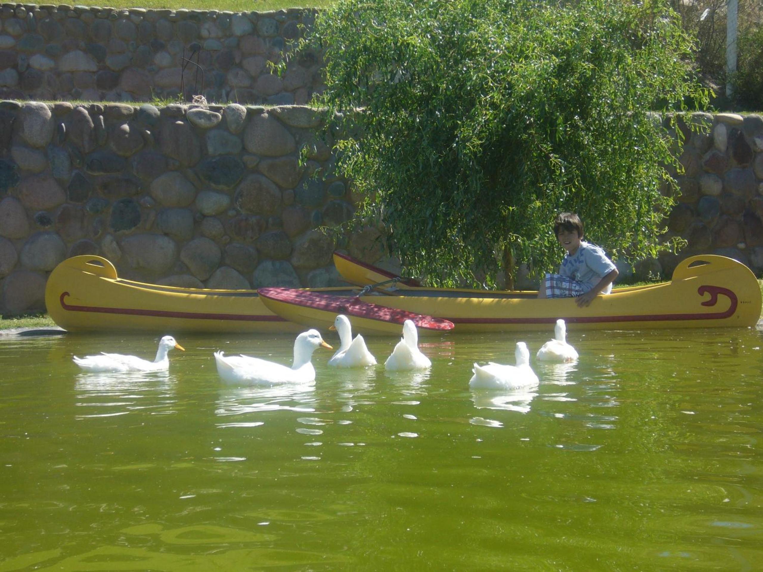 Posada Cacheuta