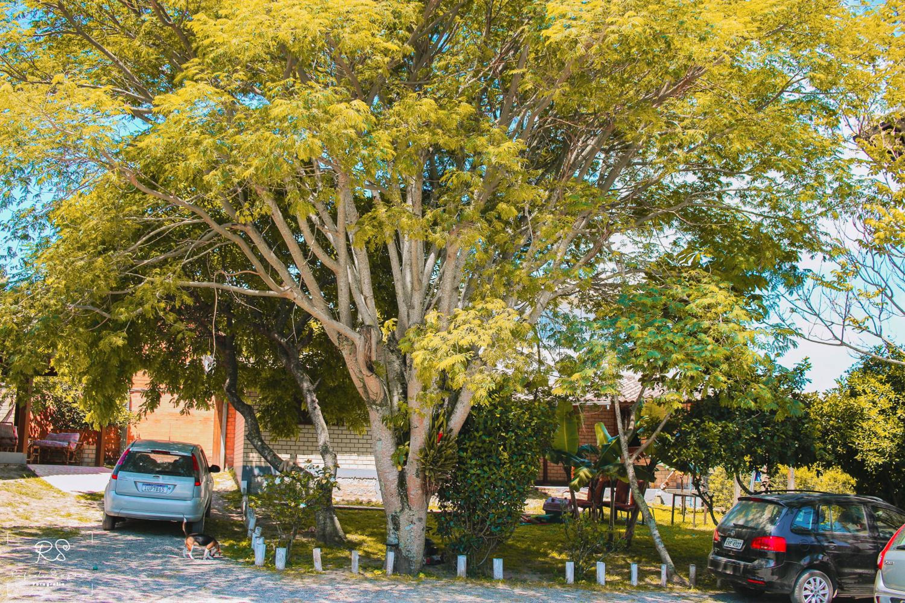 Morada Quatro Elementos - 150 Metros do Centrinho