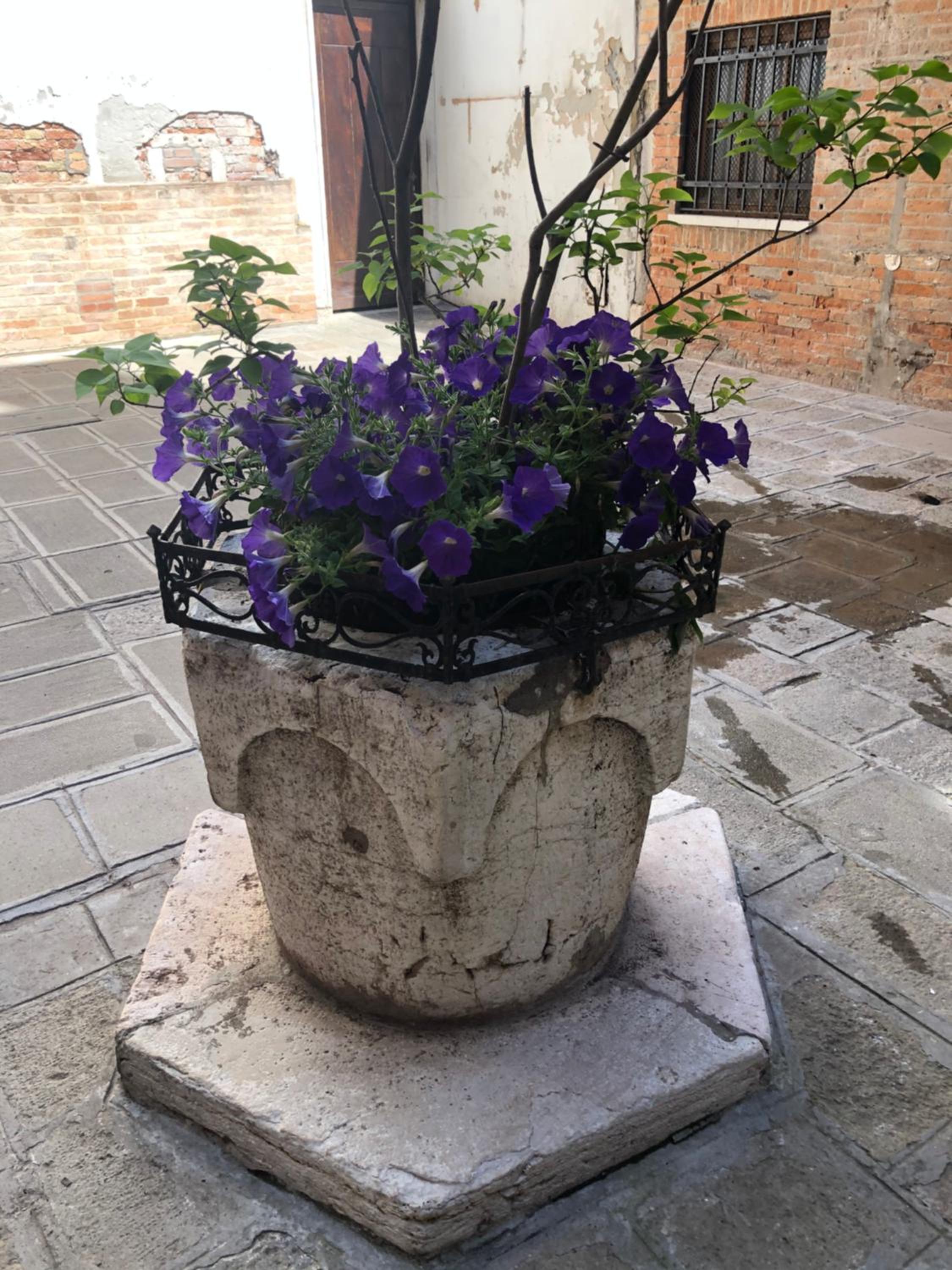 Venetian Infinity