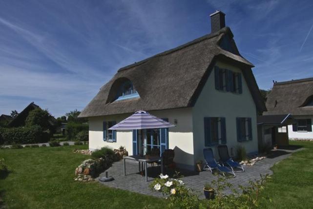 Lavendel