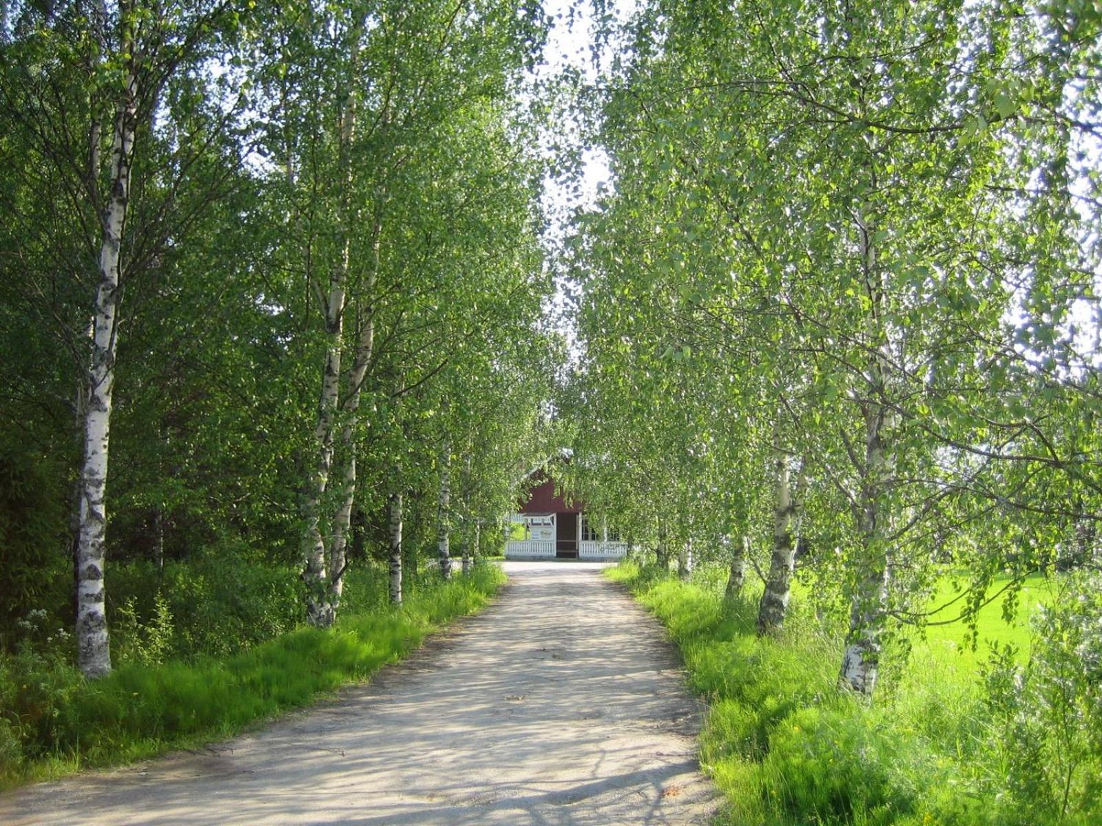 Rauhalan kievari view 2