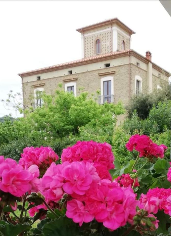 Agriturismo CapoCasale view 2