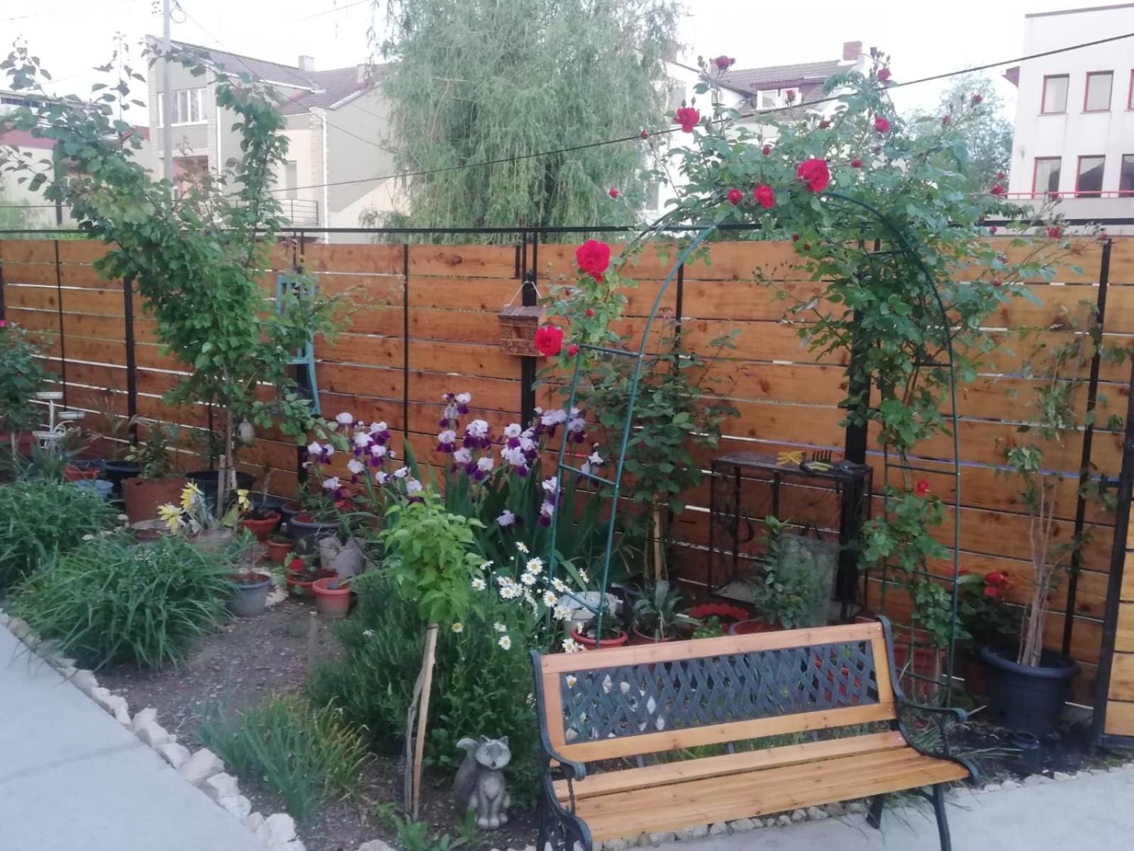 Photo 46