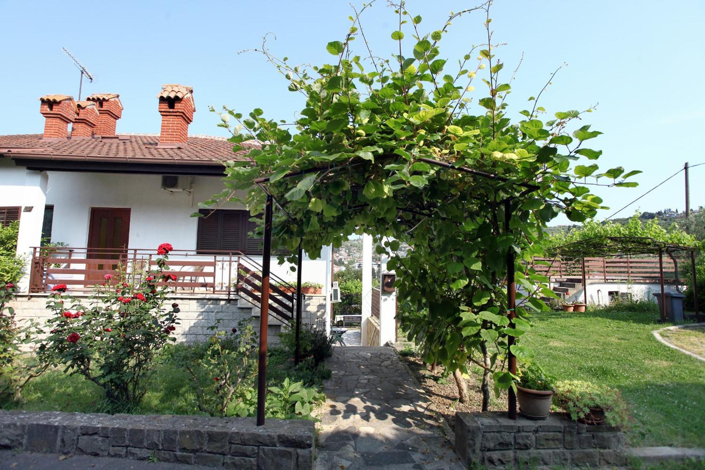 Photo 45