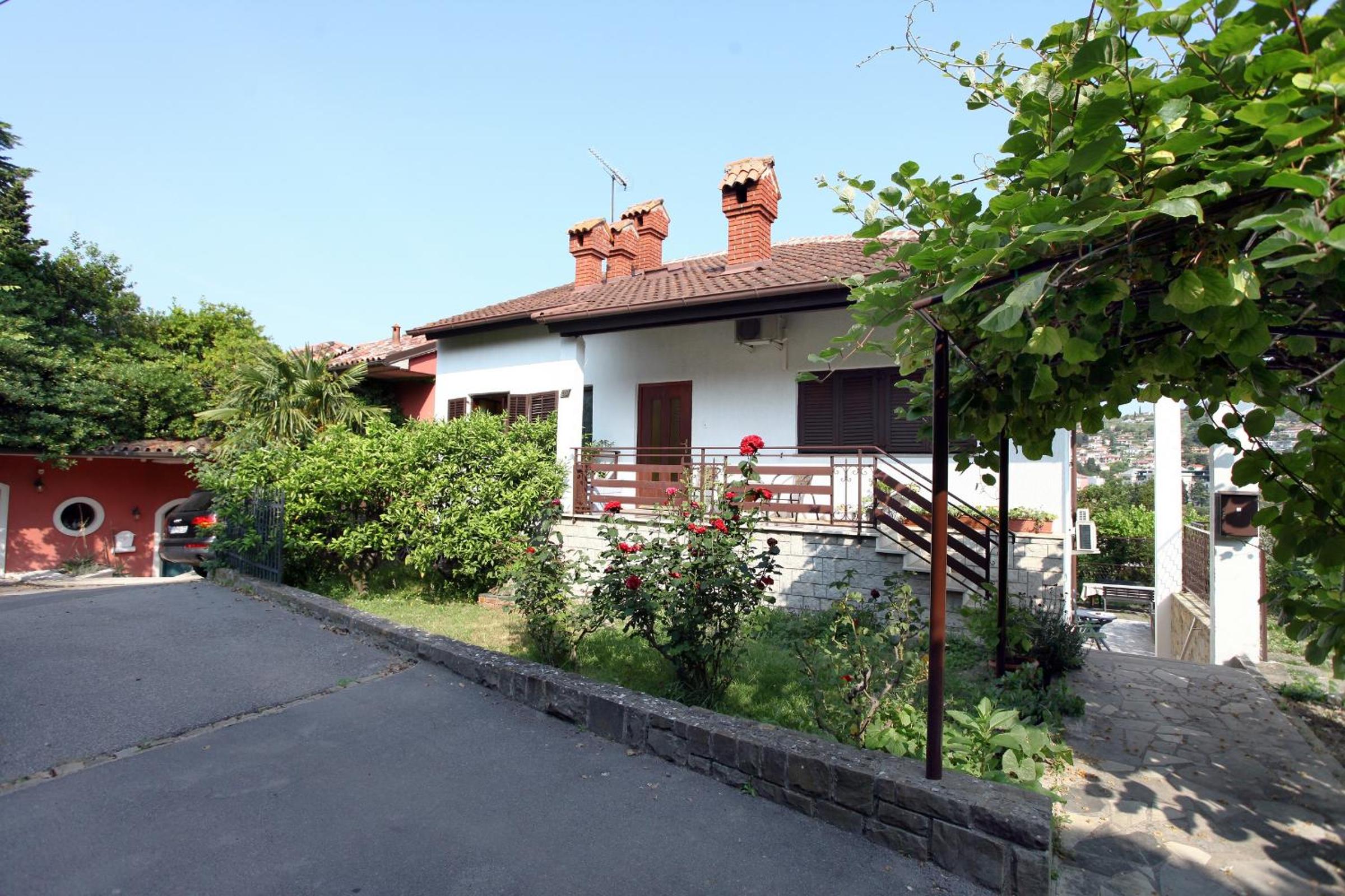 Photo 46
