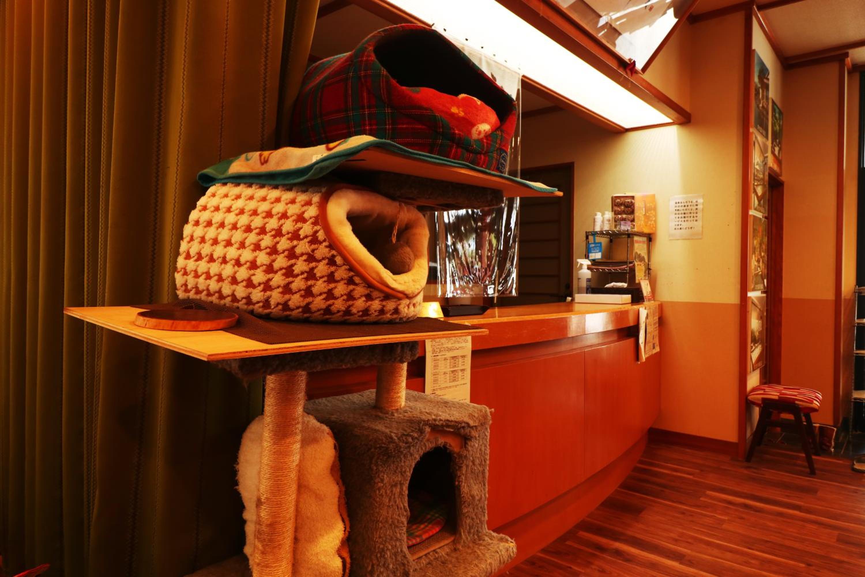 Akasawa Onsen Ryokan