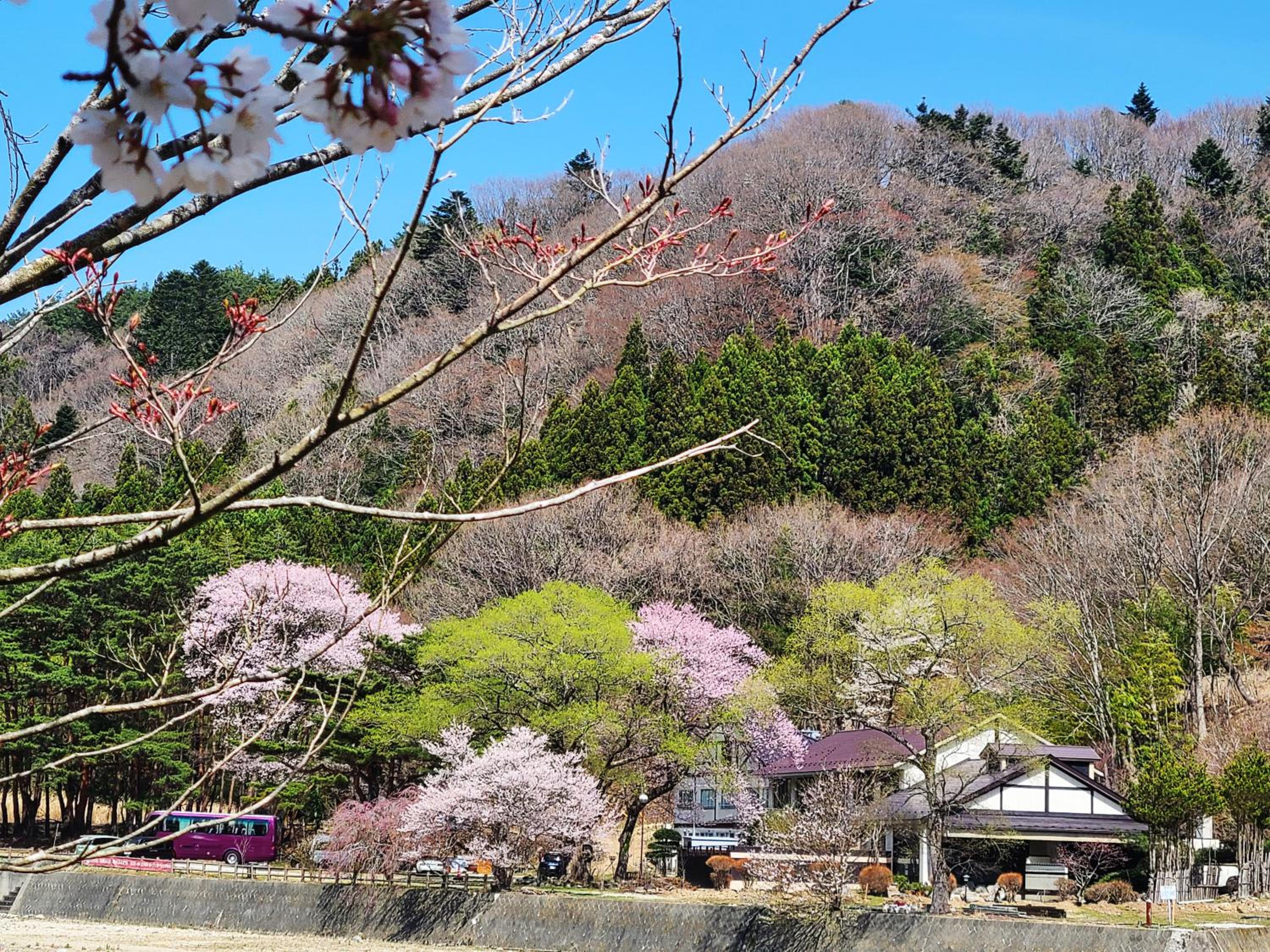 Akasawa Onsen Ryokan