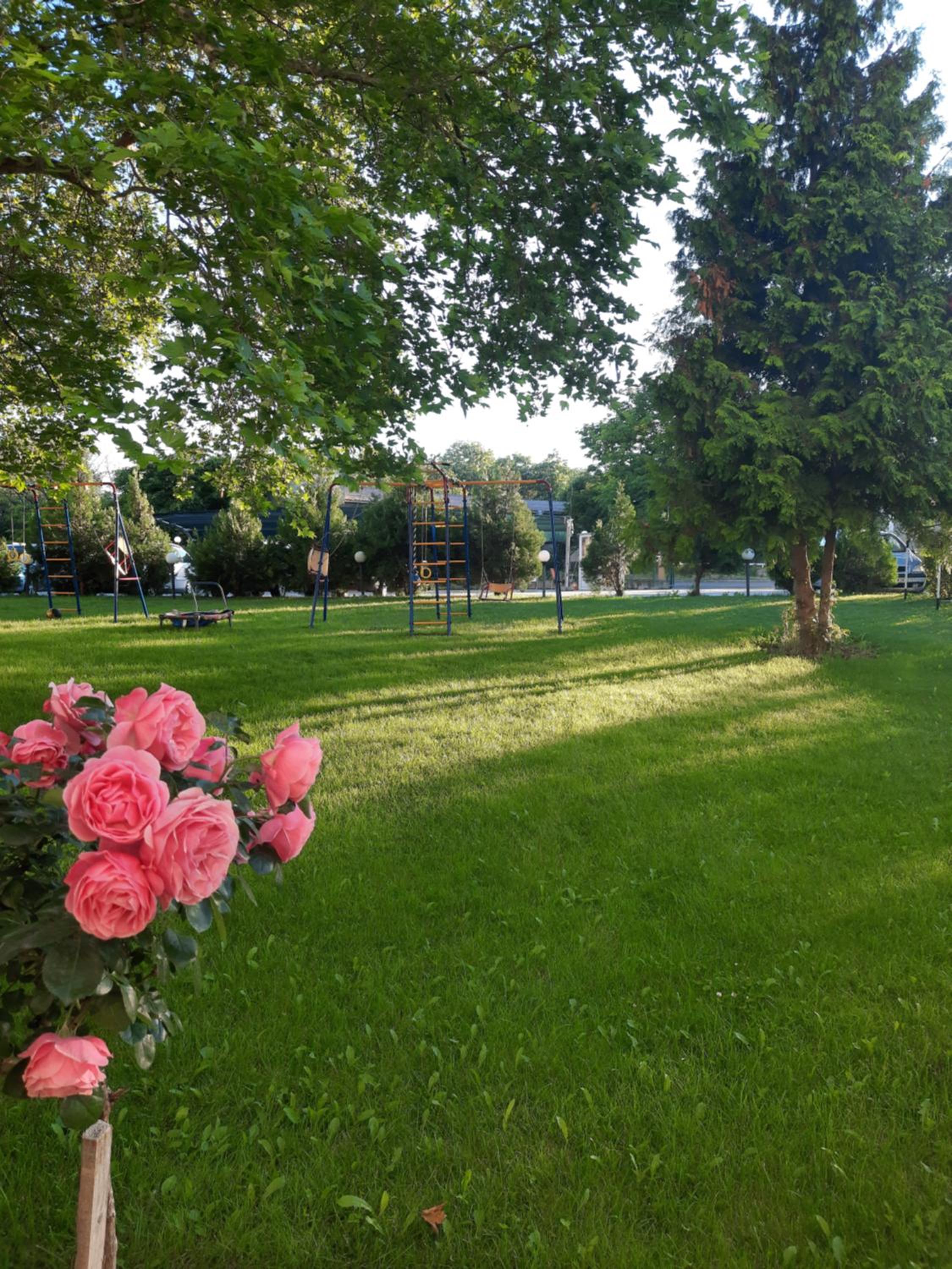 Photo 42