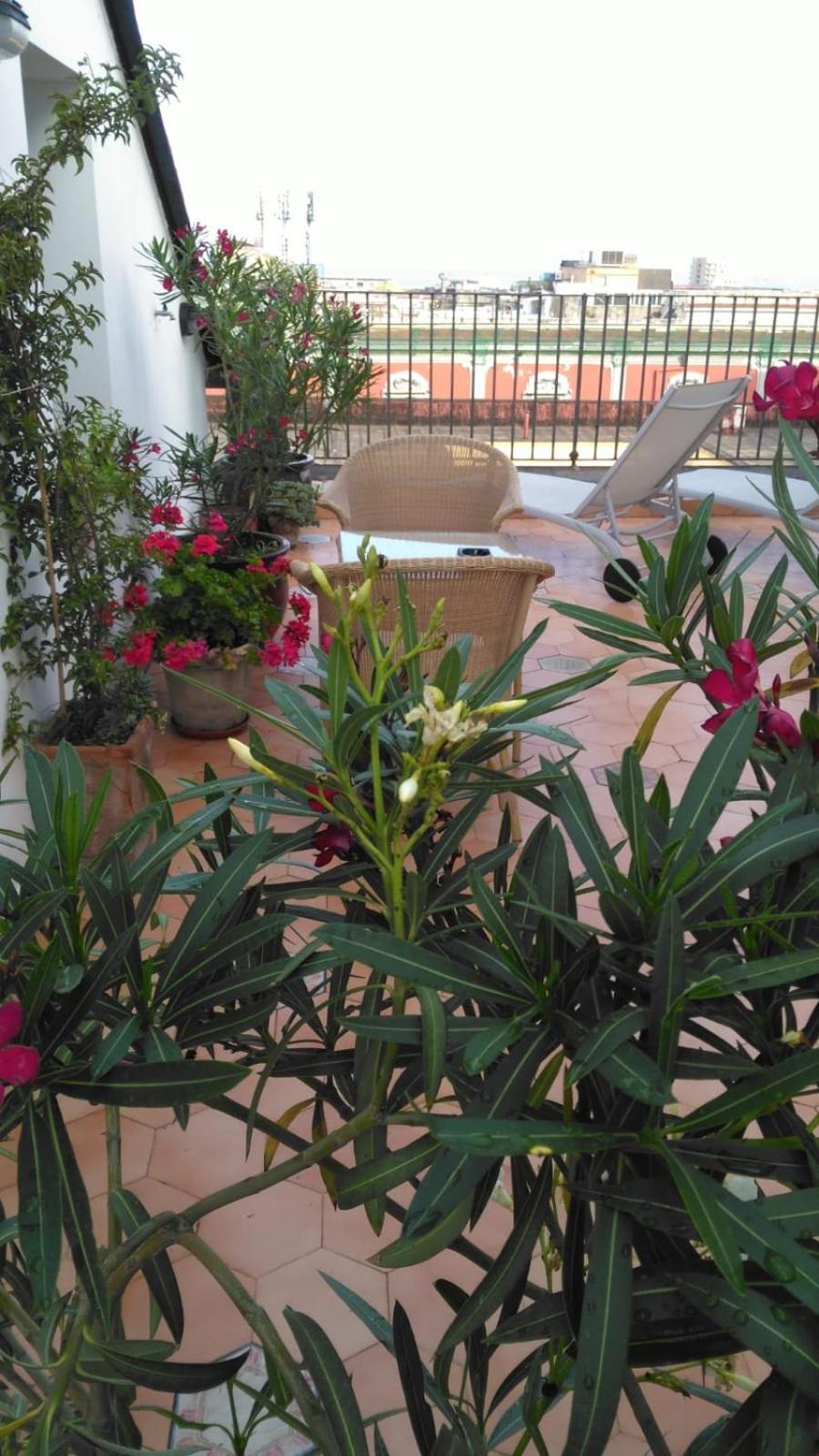 Janare - Rooms & Terrace