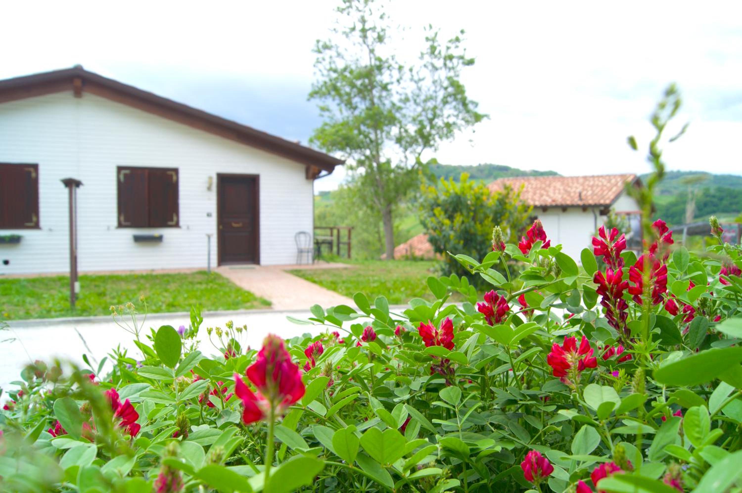 La Valle Dei Caprioli Village Bungalow Park - Freelandia Azienda Agricola view 4