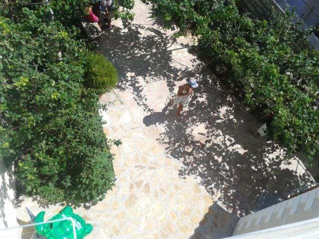 Magic Ionian Apartments & Rooms