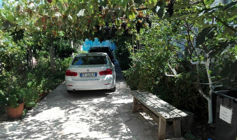 Magic Ionian Apartments & Rooms