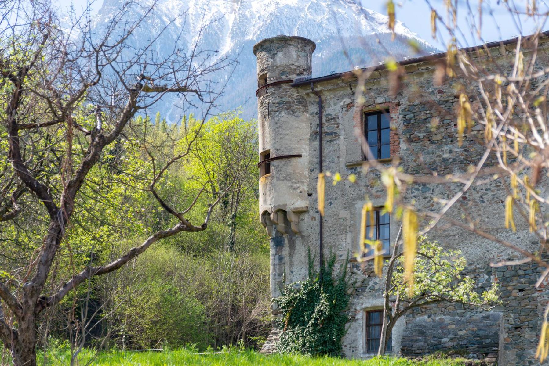 Photo 14