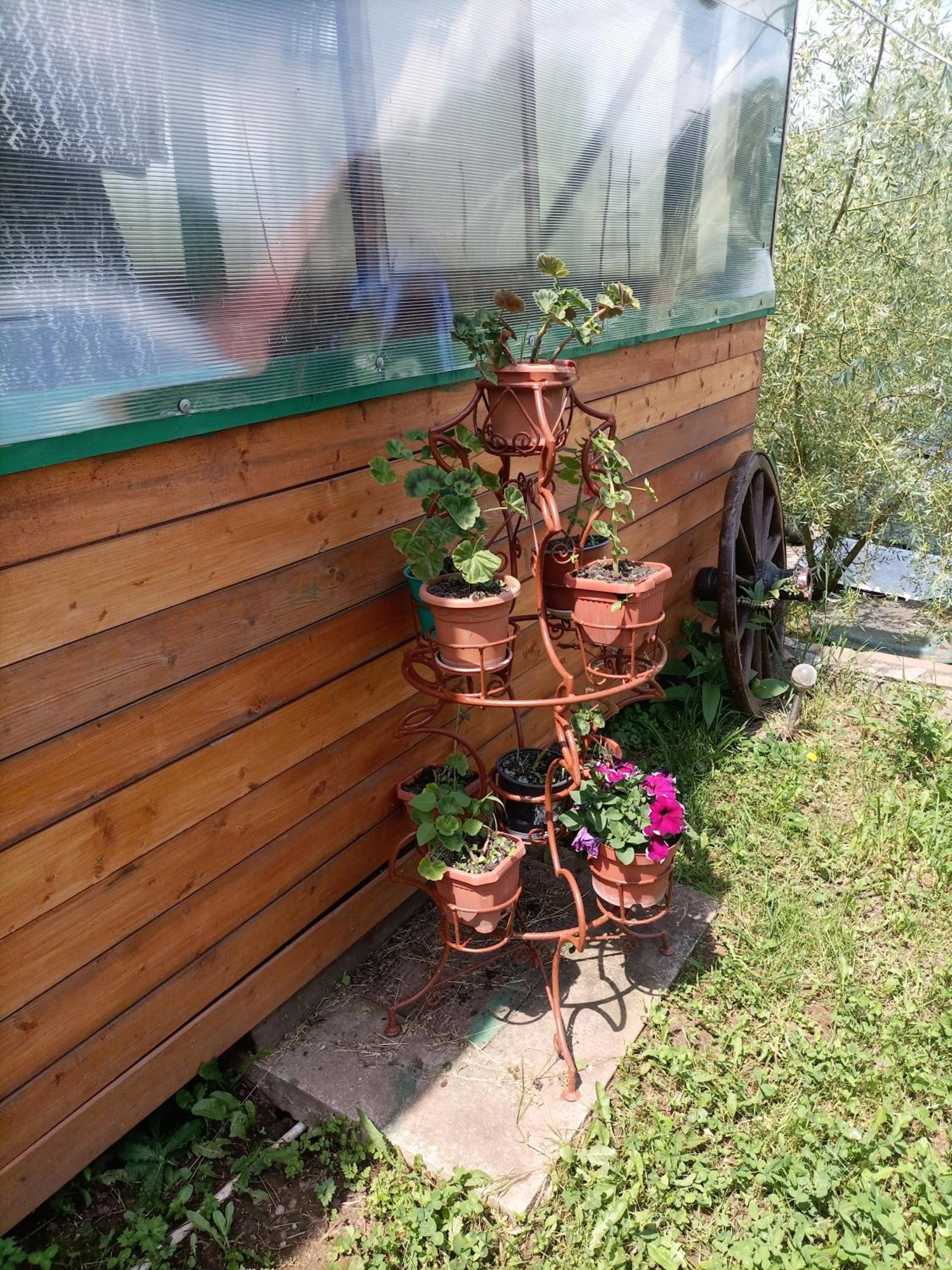 Photo 33