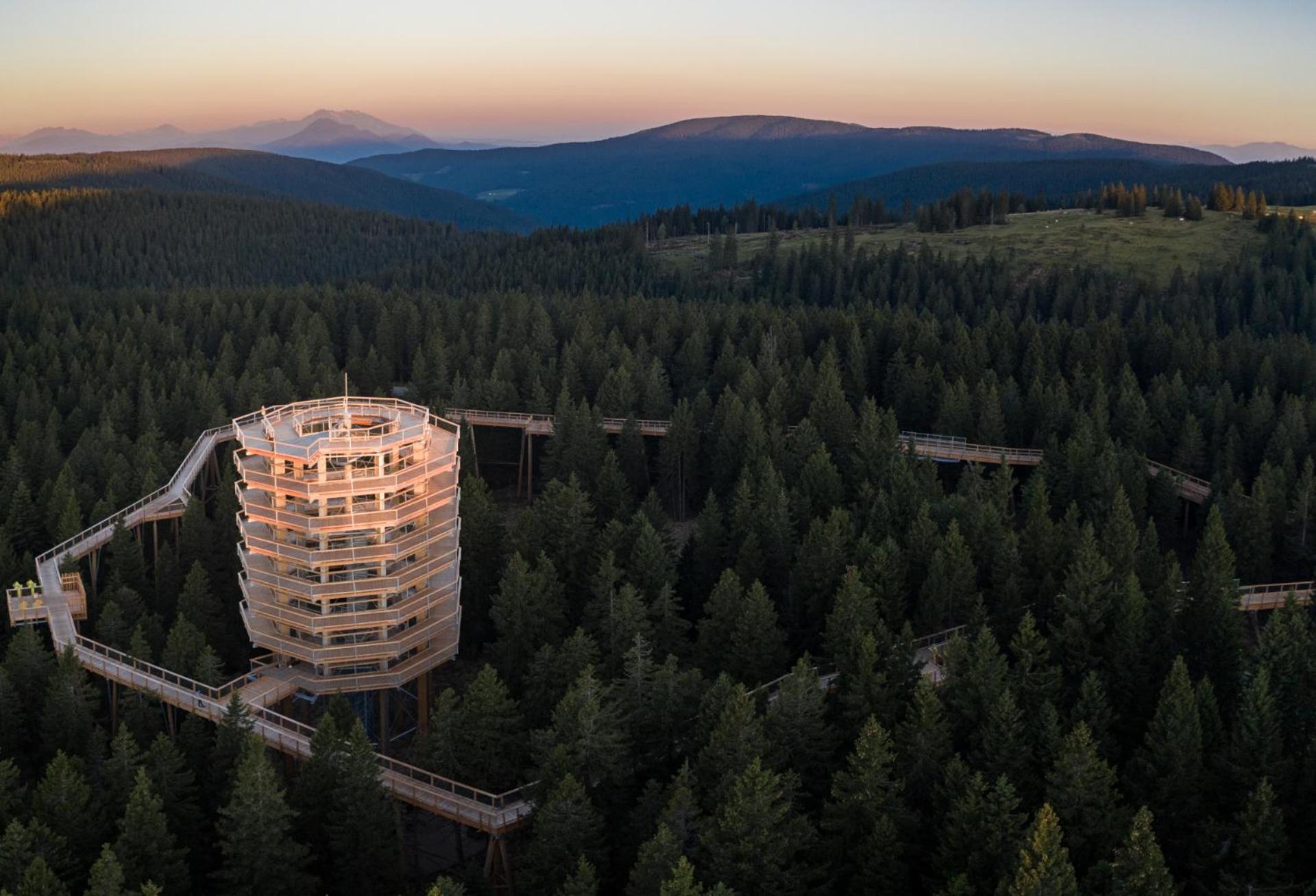 Apartma Svizec Rogla view 2