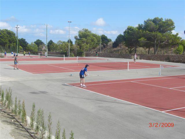 Photo 8