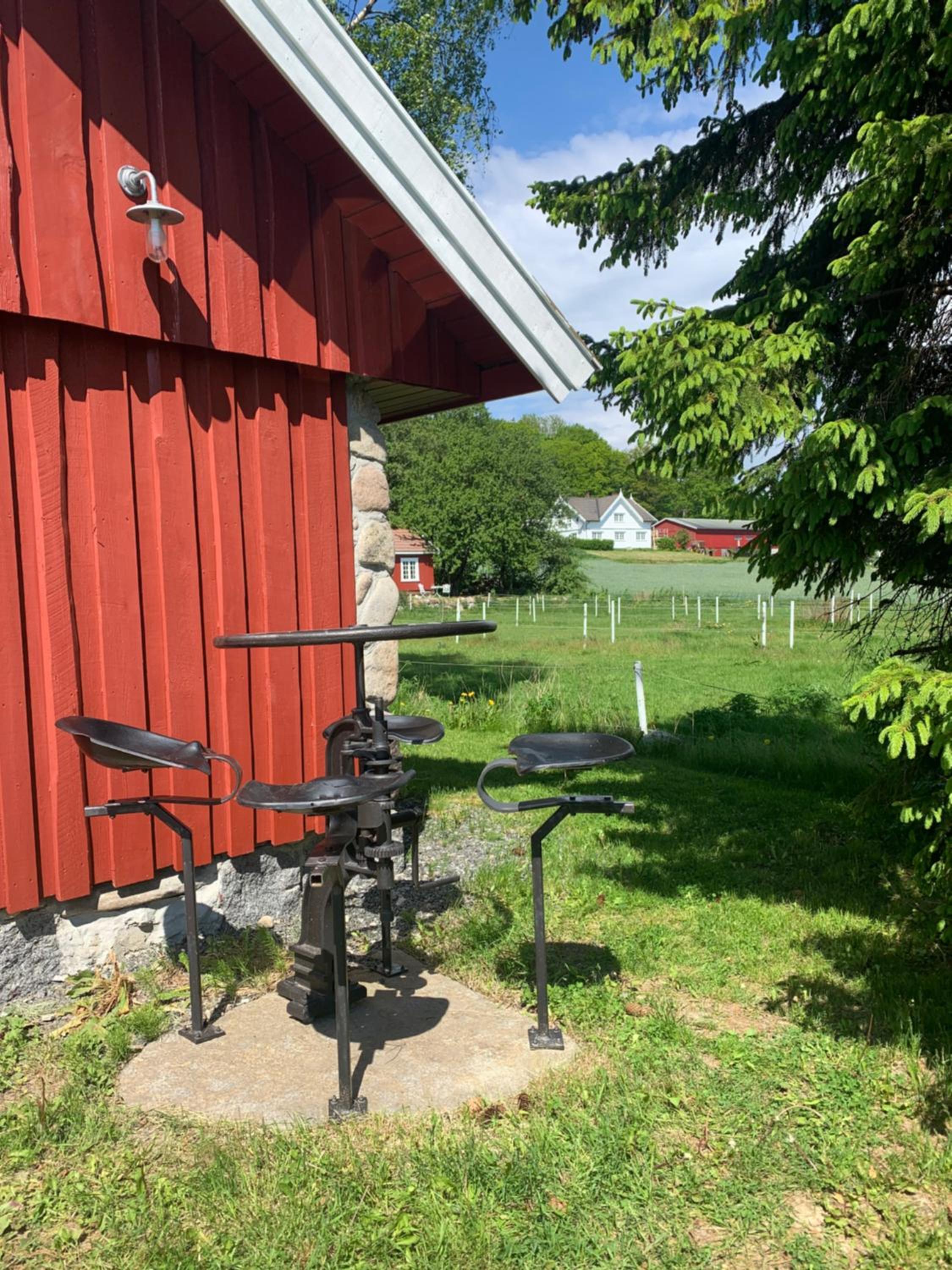 Photo 18