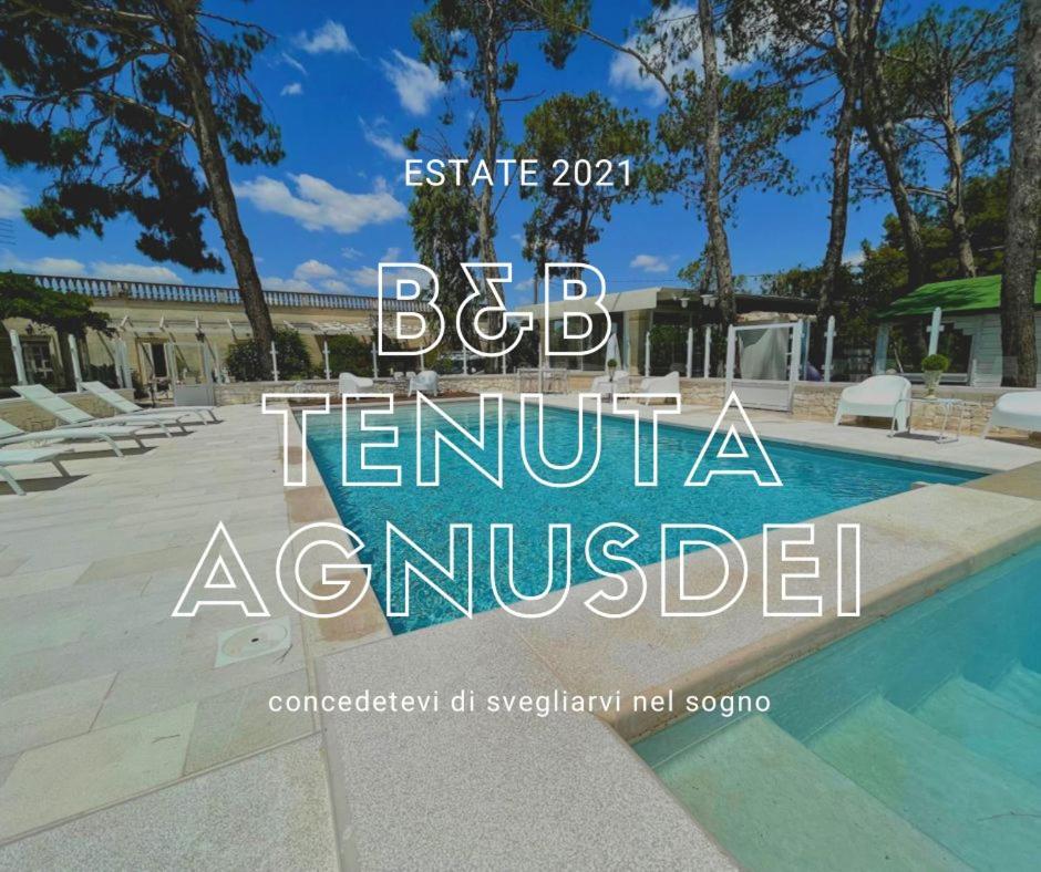 B&B TENUTA AGNUSDEI view 3