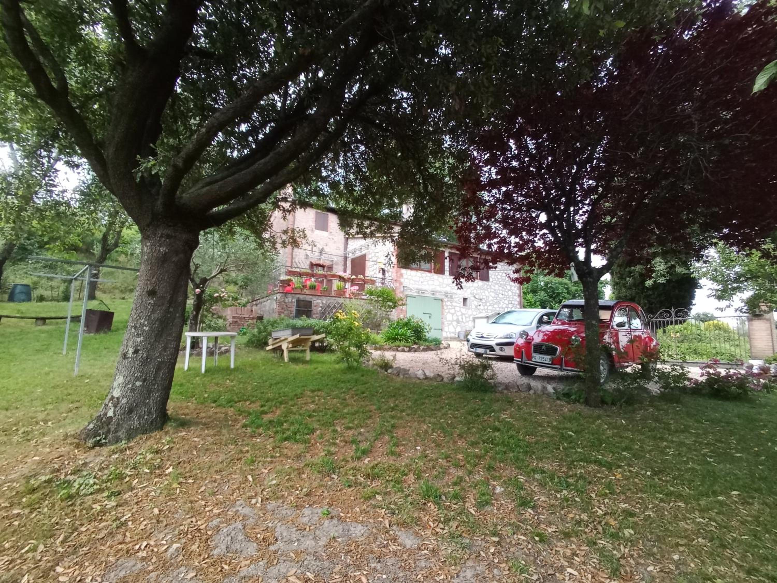 Tra grilli e cicale view 4