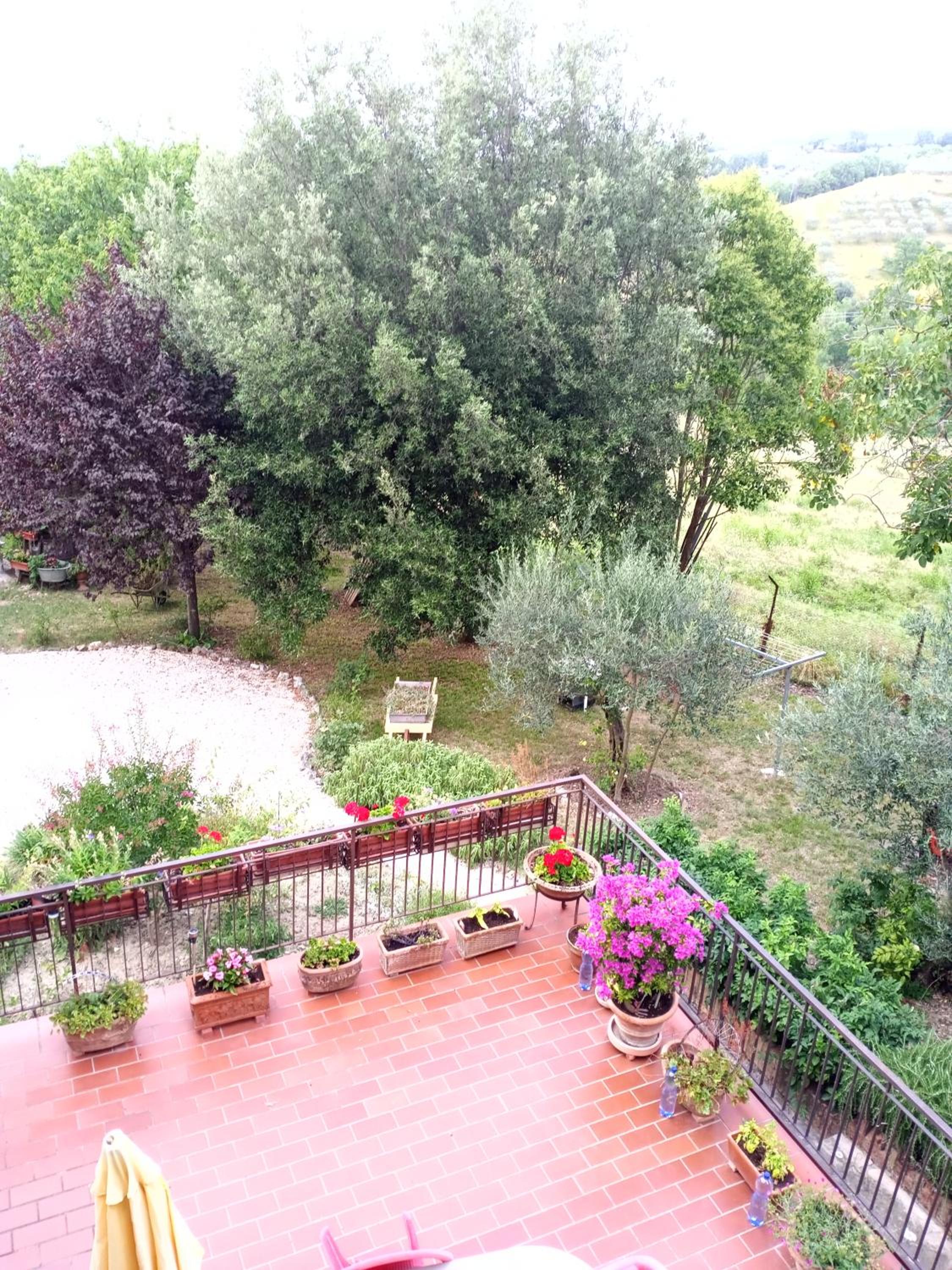 Tra grilli e cicale view 5