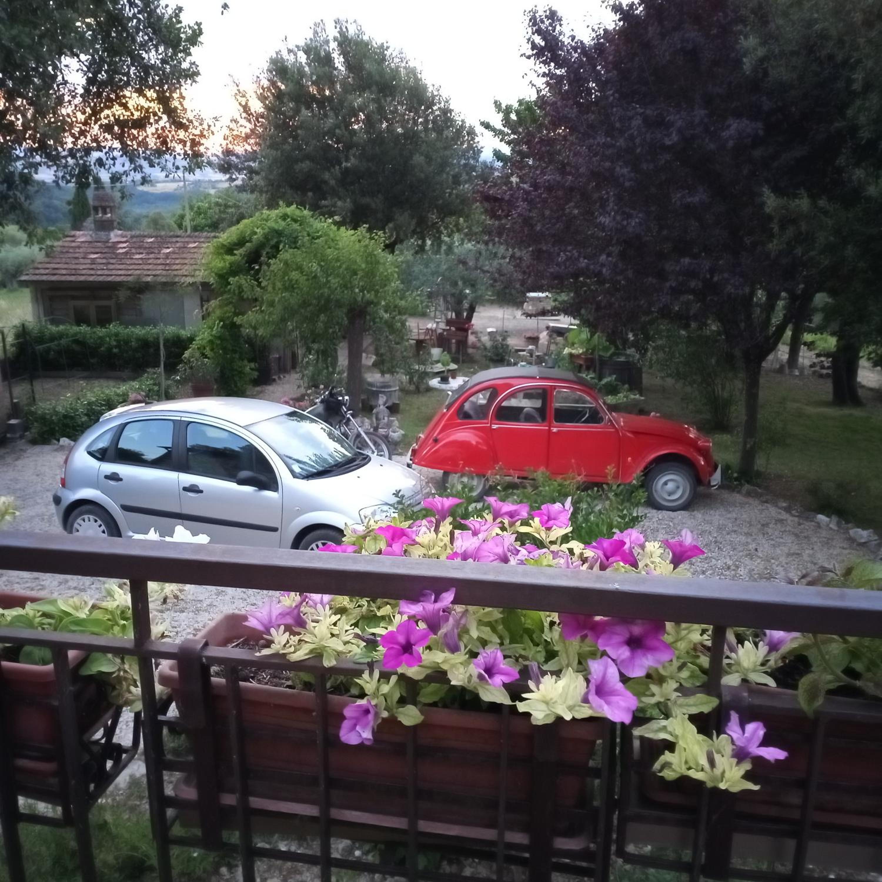 Photo 20