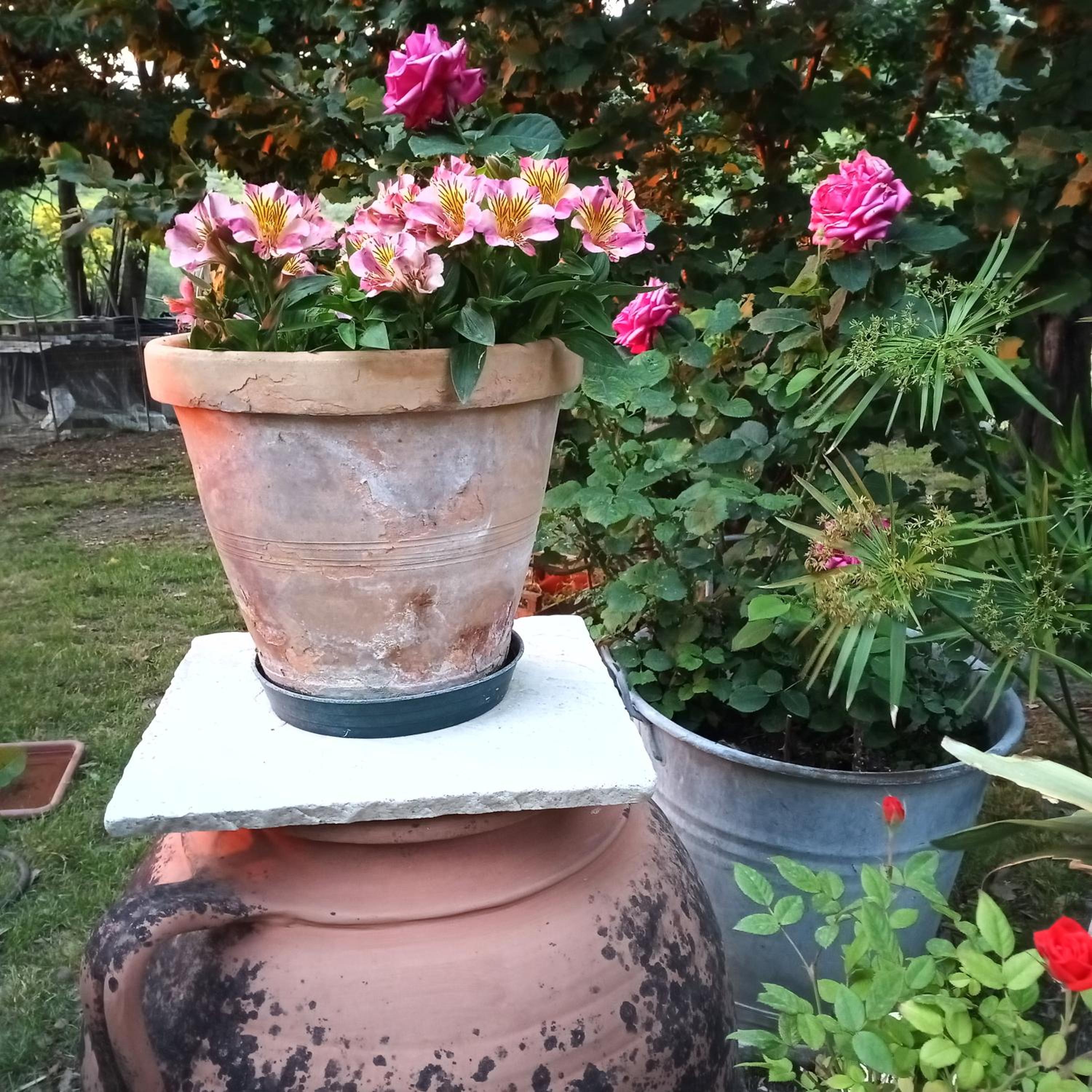 Photo 22