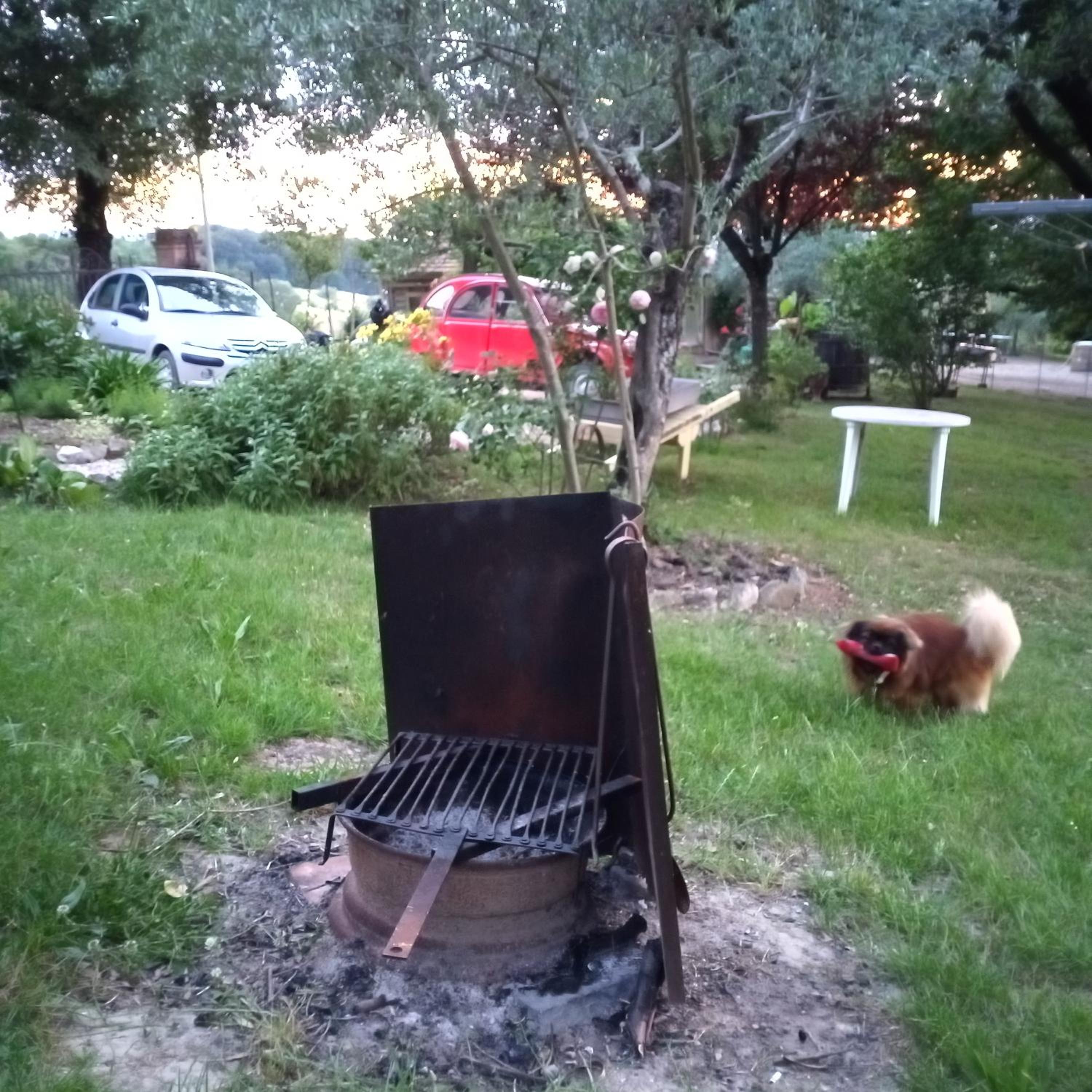 Photo 34