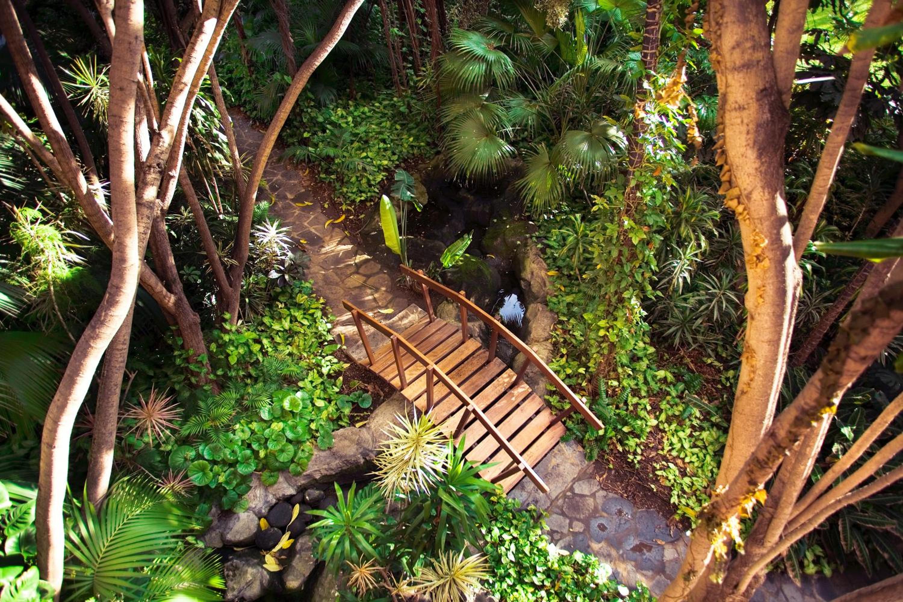 Puerto de la Cruz Vacations - Hotel Botanico y Oriental Spa Garden - Property Image 64
